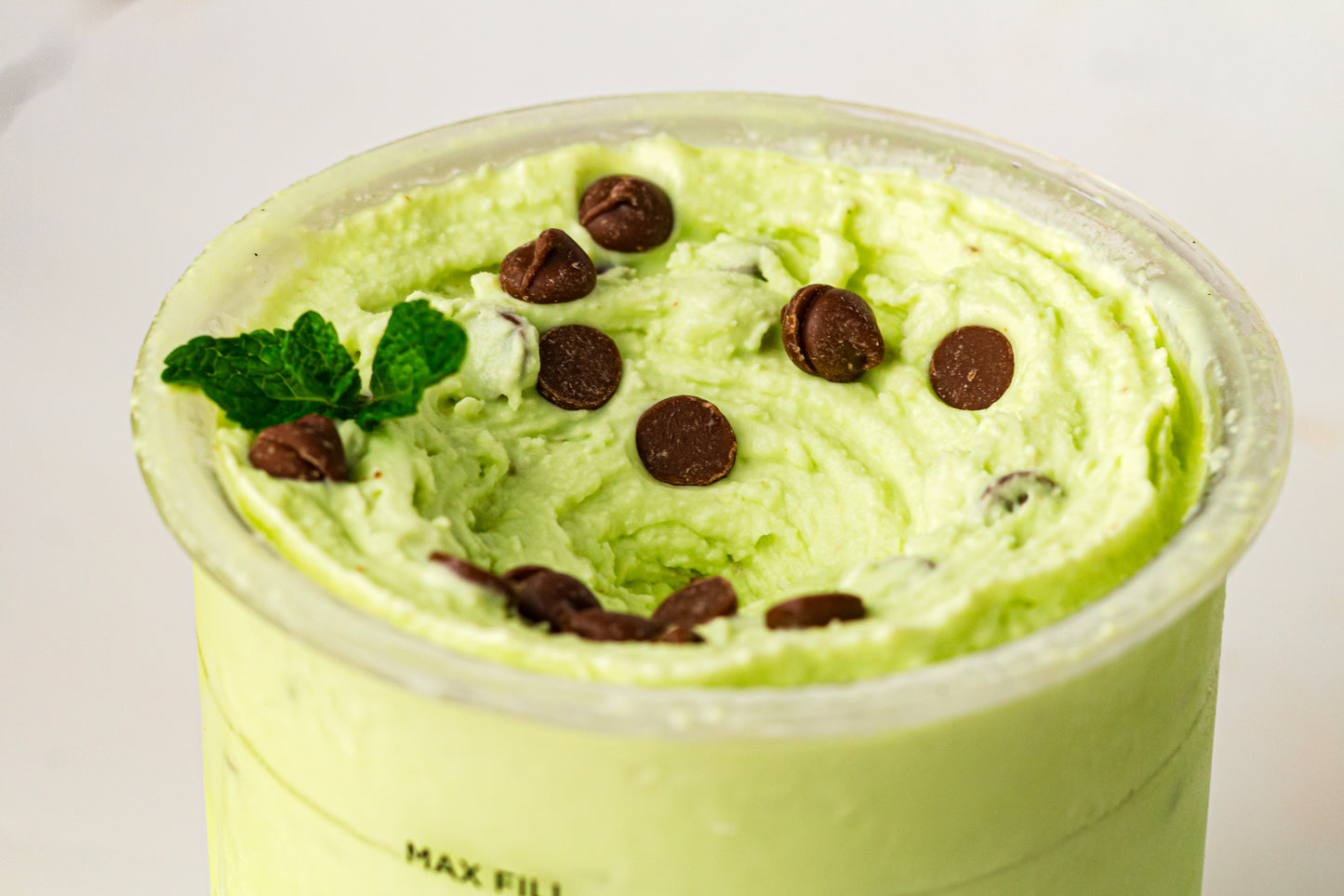 Mint Chocolate Chip – PLR Ninja Creami Ice Cream