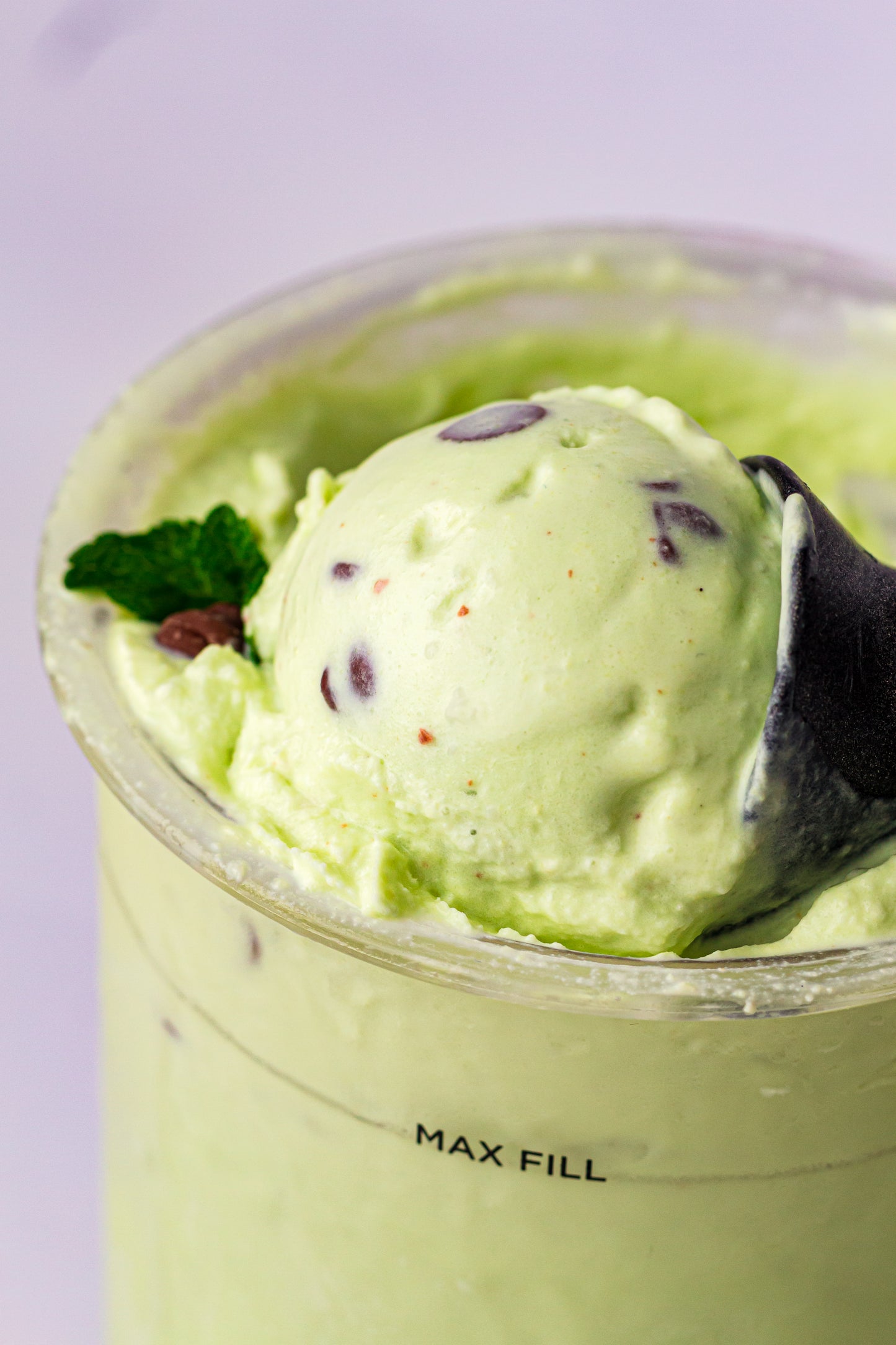 Mint Chocolate Chip – PLR Ninja Creami Ice Cream