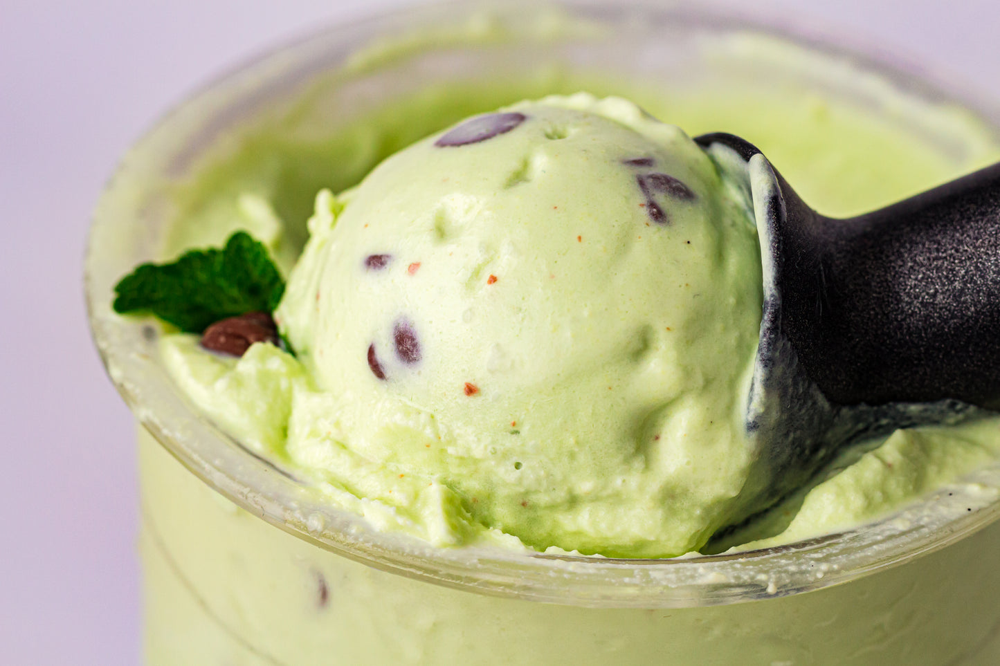 Mint Chocolate Chip – PLR Ninja Creami Ice Cream