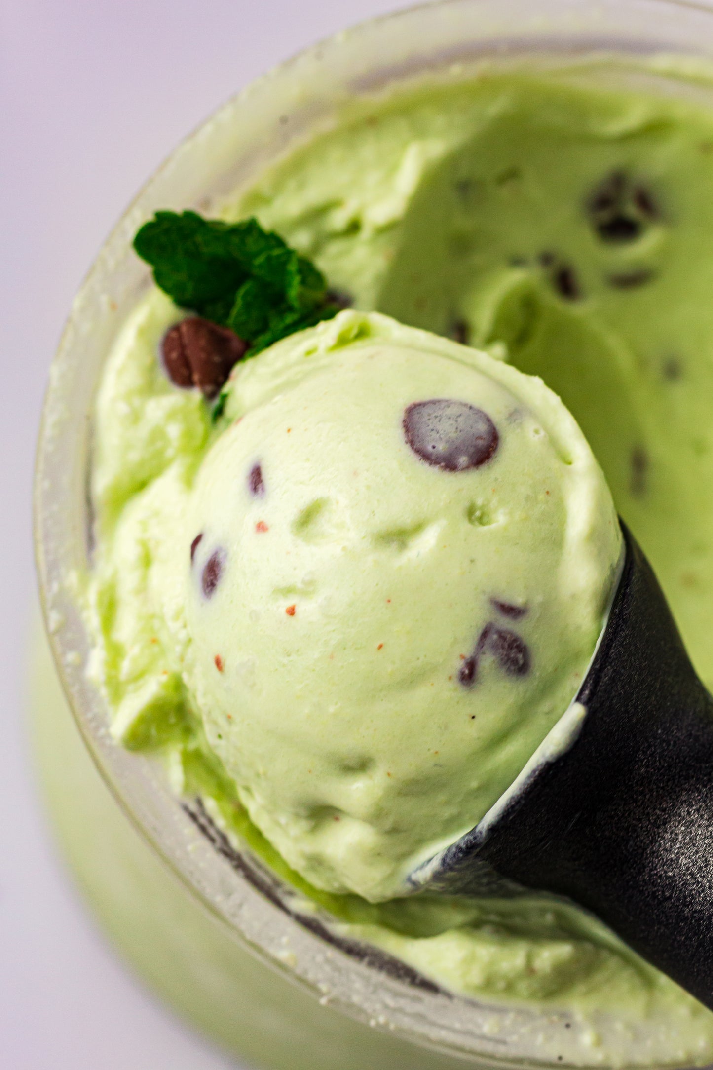 Mint Chocolate Chip – PLR Ninja Creami Ice Cream