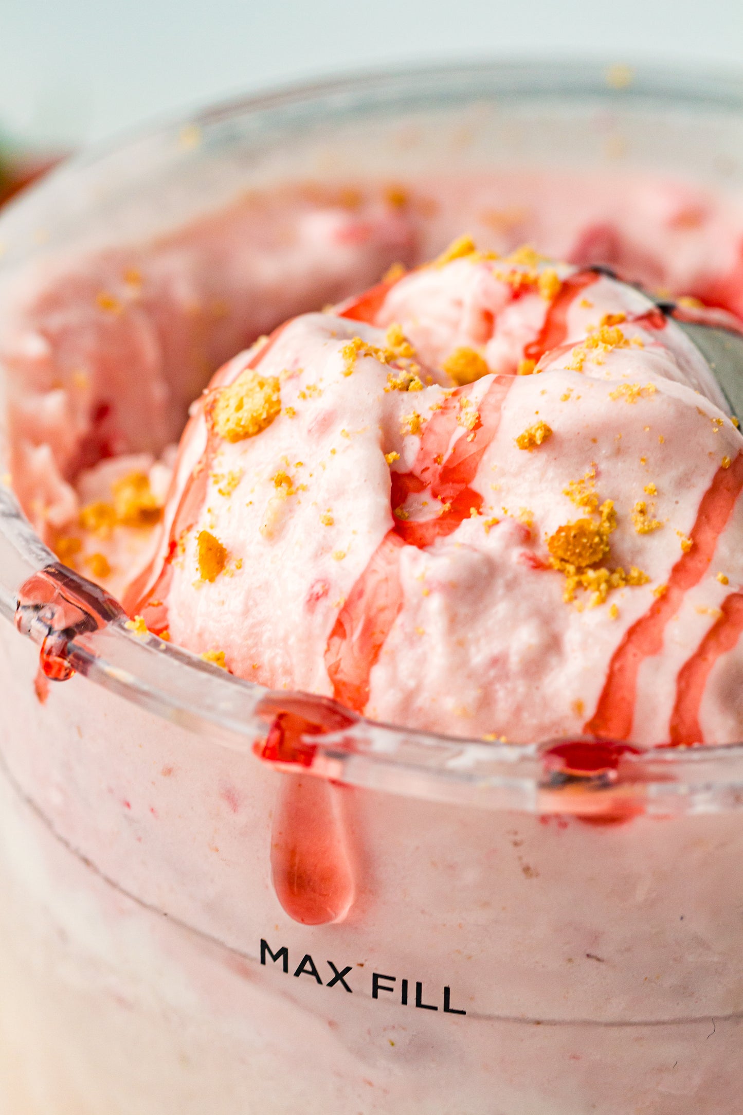 Strawberry Cheesecake Ninja Creami Ice Cream (PLR)