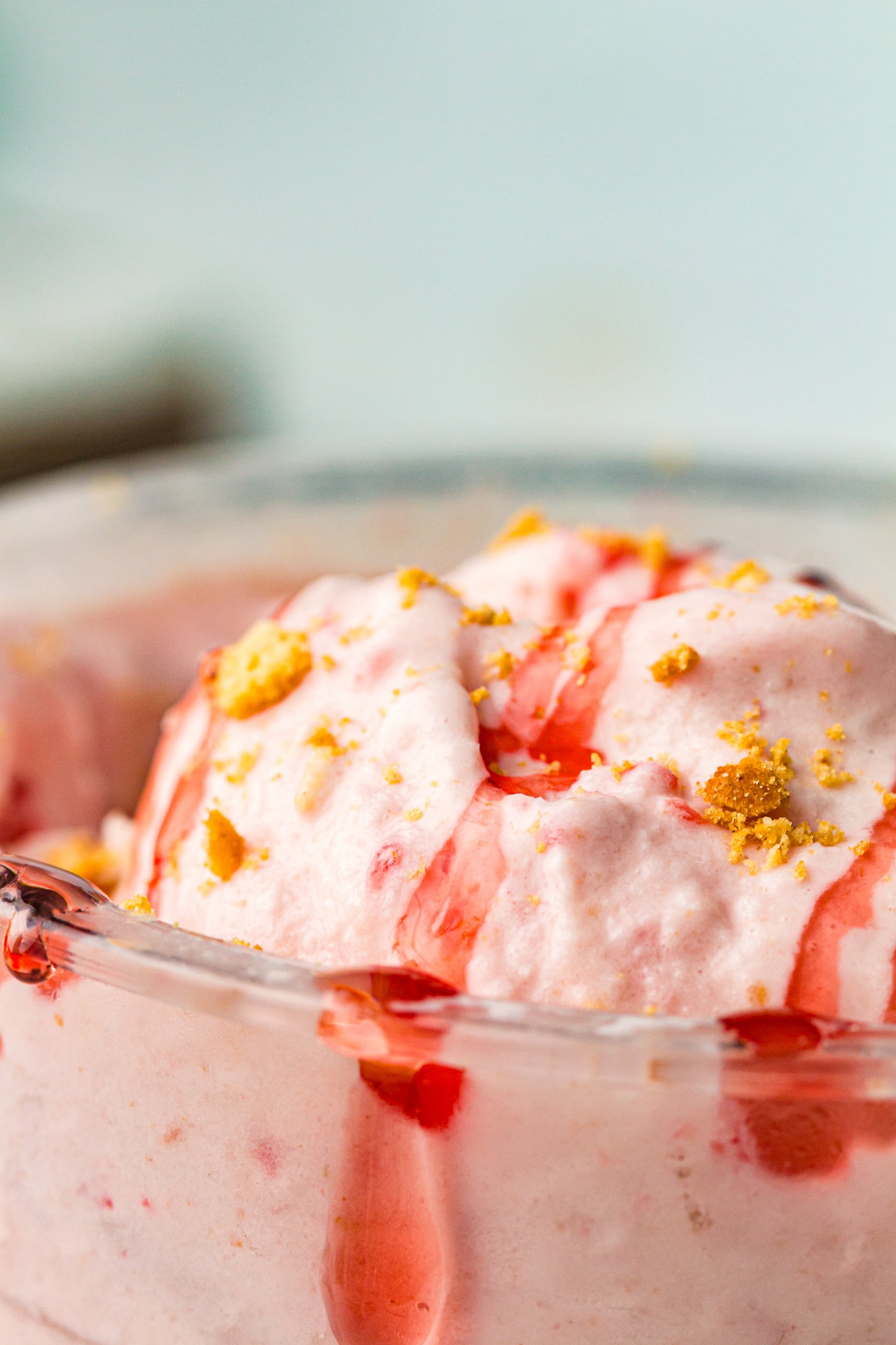 Strawberry Cheesecake Ninja Creami Ice Cream (PLR)