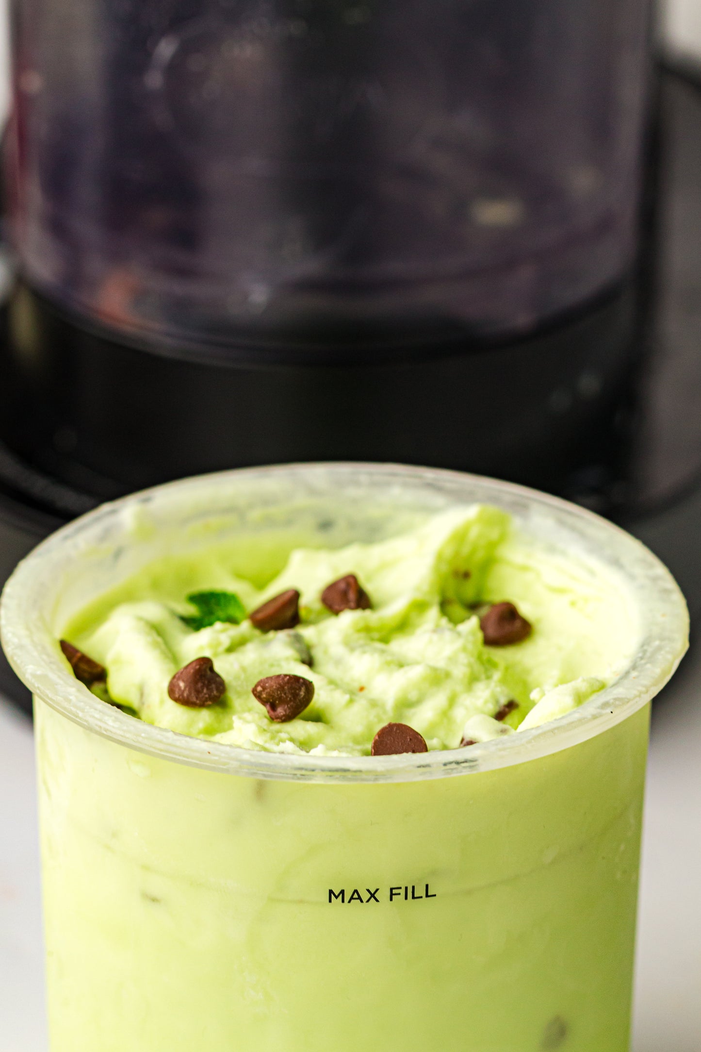 Mint Chocolate Chip – PLR Ninja Creami Ice Cream