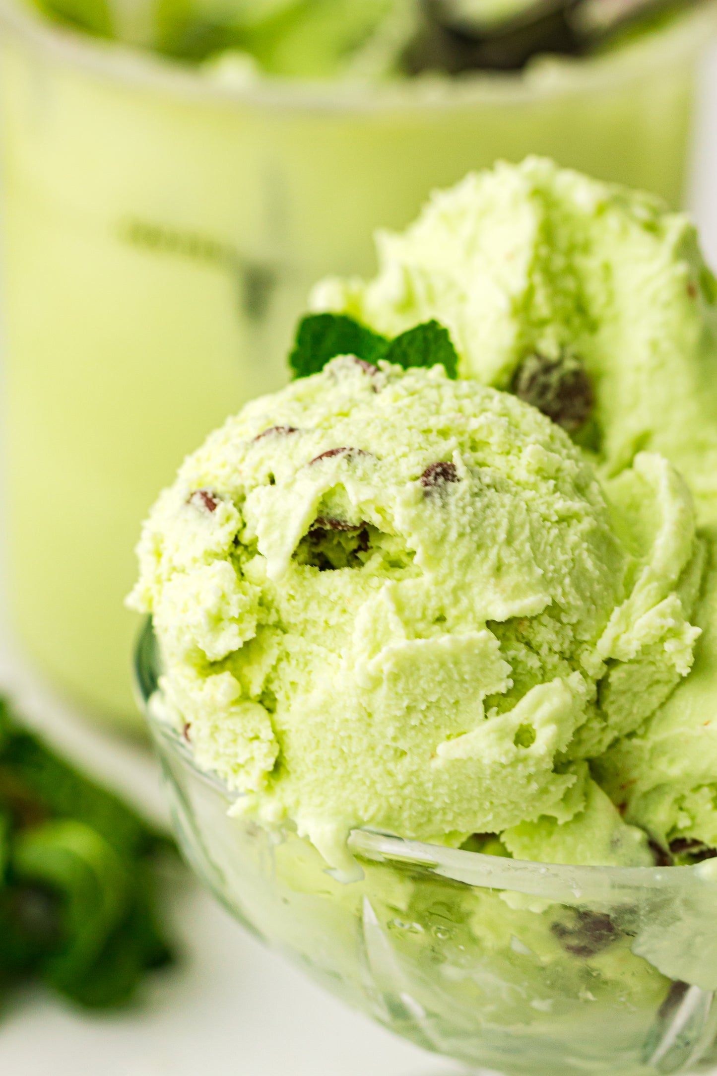 Mint Chocolate Chip – PLR Ninja Creami Ice Cream