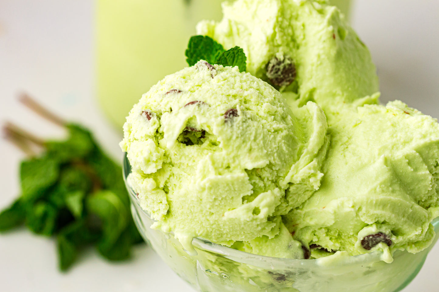 Mint Chocolate Chip – PLR Ninja Creami Ice Cream