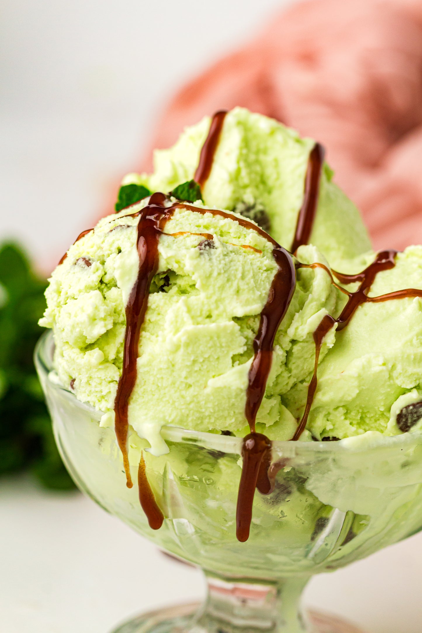 Mint Chocolate Chip – PLR Ninja Creami Ice Cream