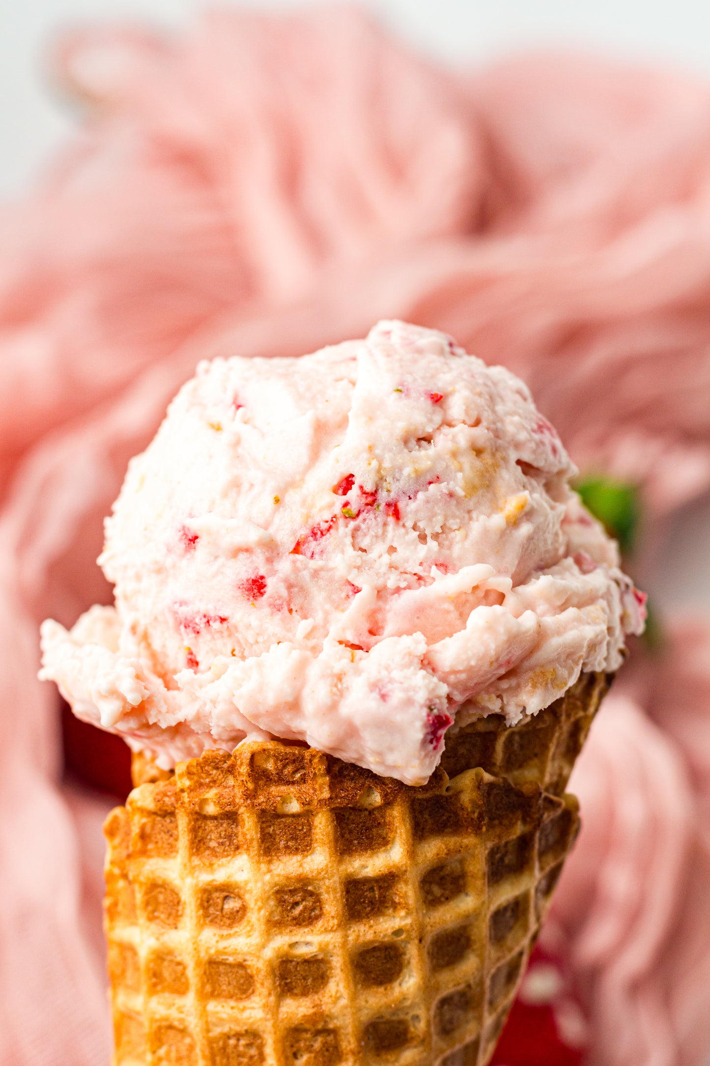 Strawberry Cheesecake Ninja Creami Ice Cream (PLR)