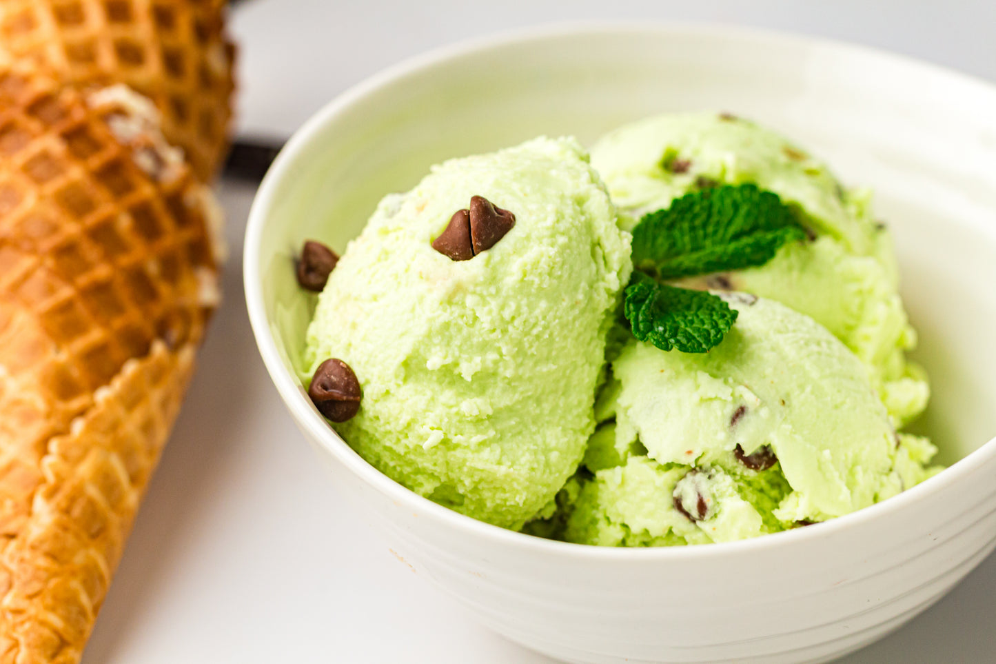 Mint Chocolate Chip – PLR Ninja Creami Ice Cream