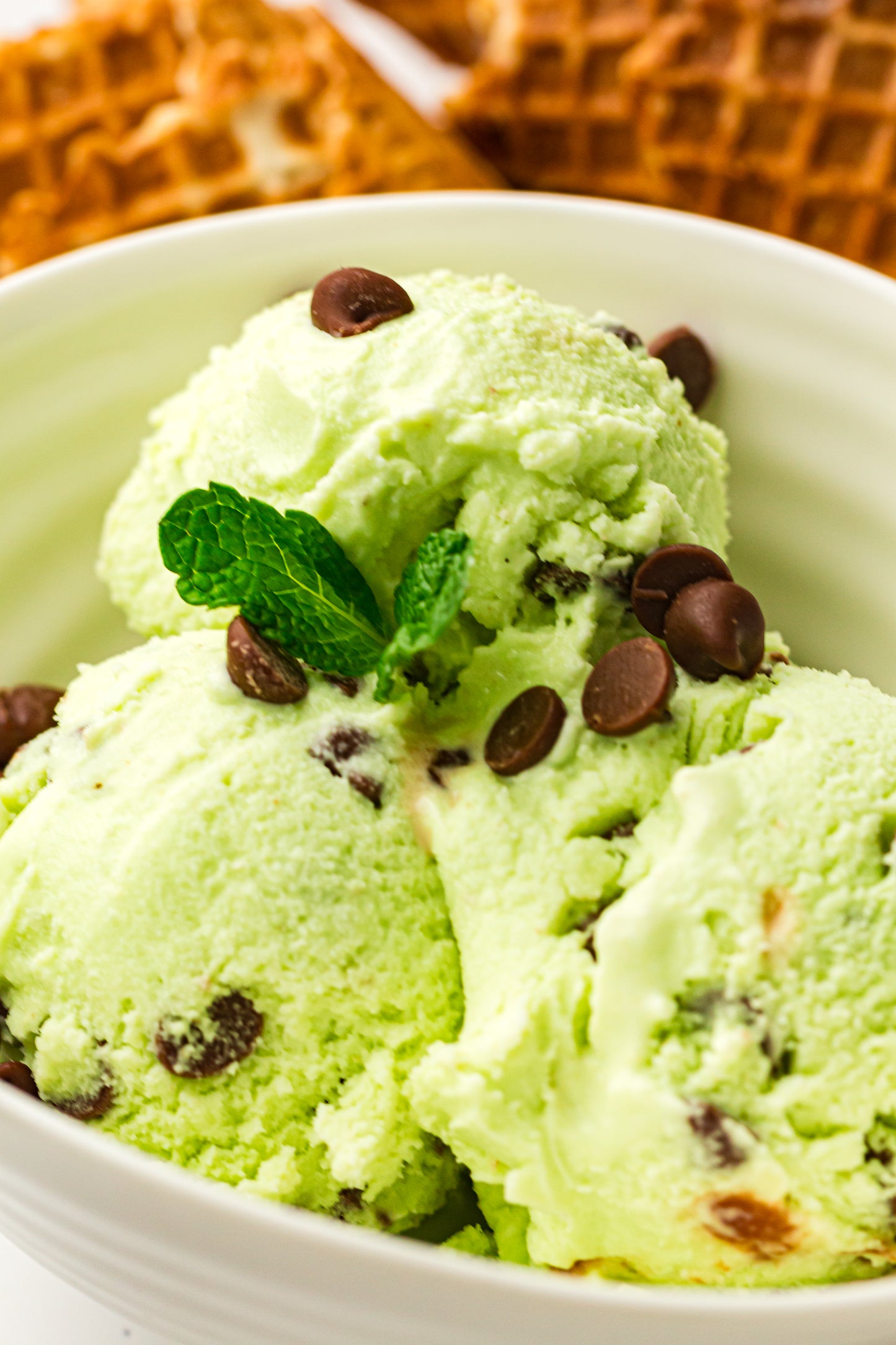 Mint Chocolate Chip – PLR Ninja Creami Ice Cream