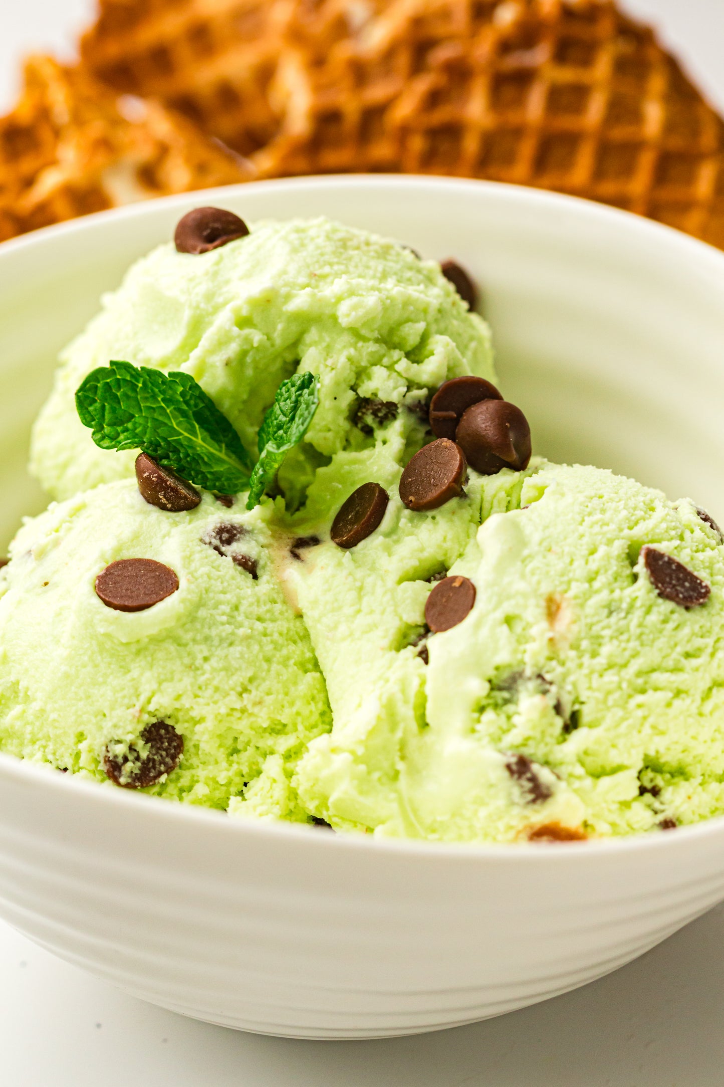 Mint Chocolate Chip – PLR Ninja Creami Ice Cream