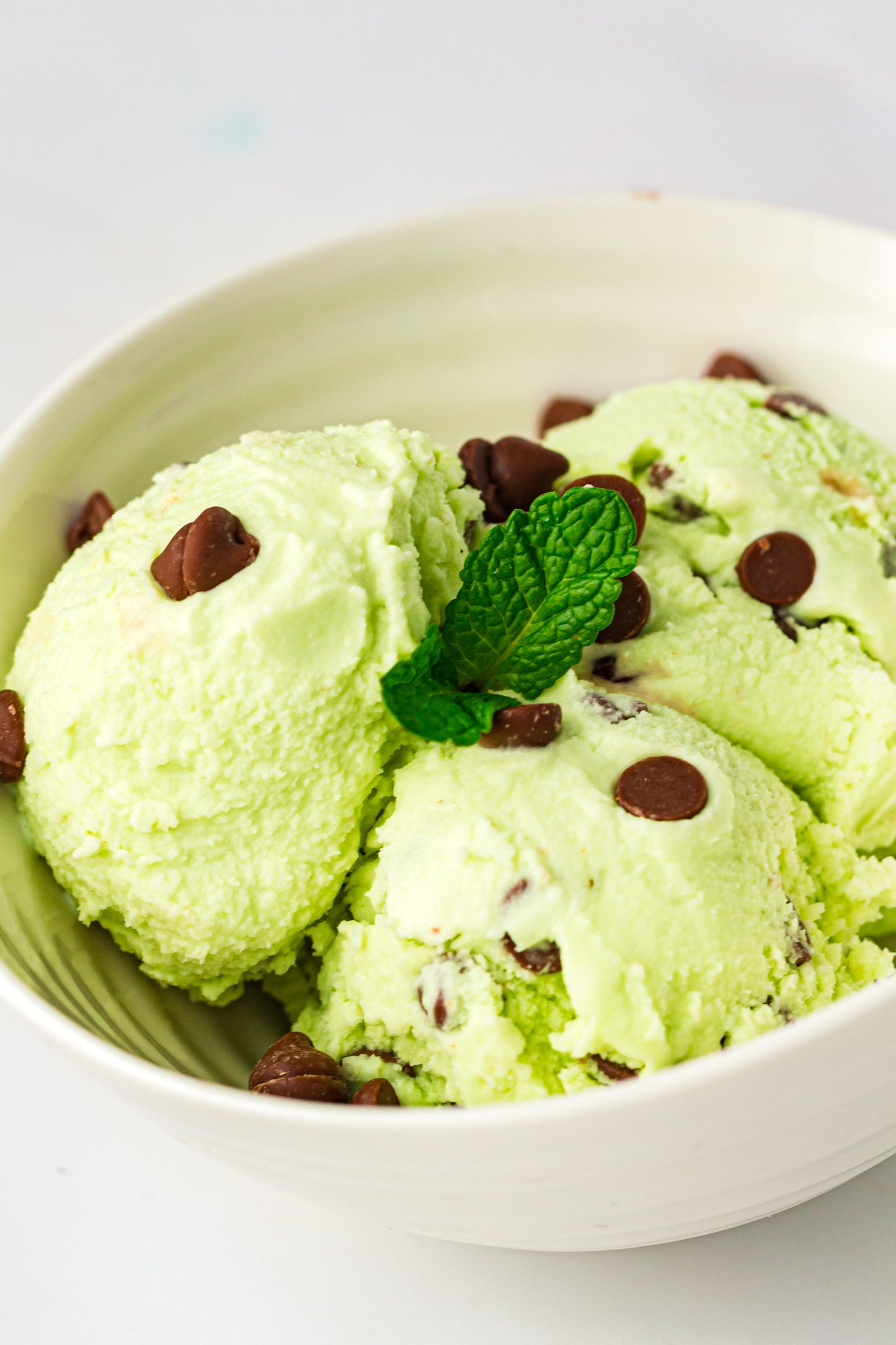 Mint Chocolate Chip – PLR Ninja Creami Ice Cream