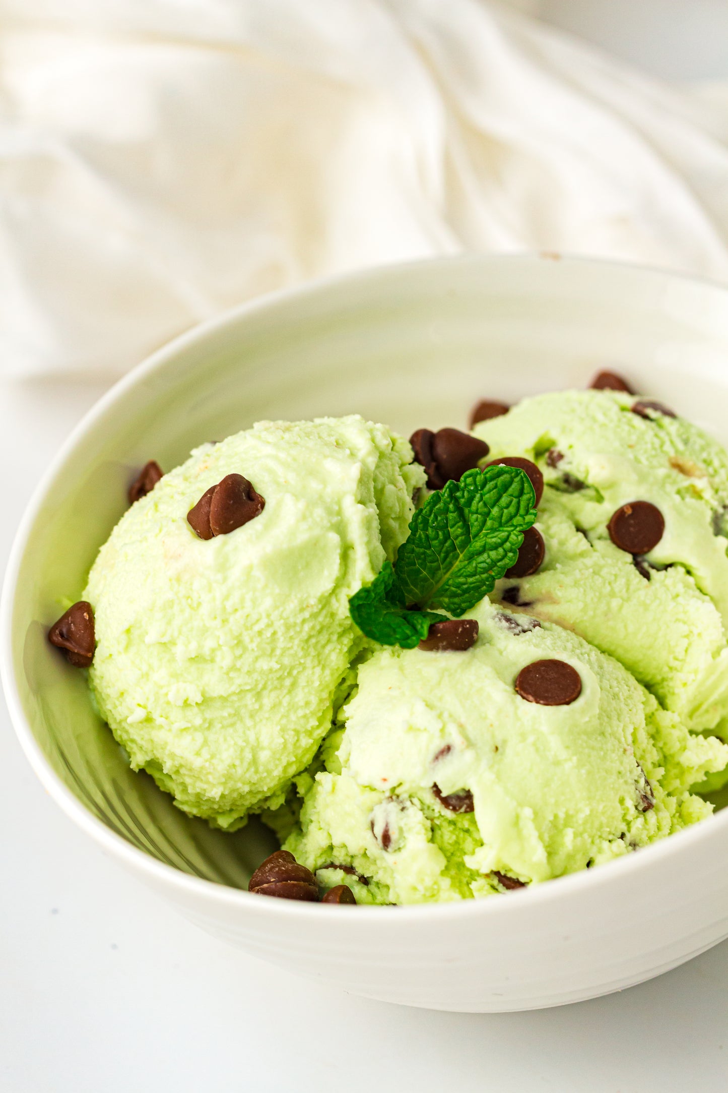 Mint Chocolate Chip – PLR Ninja Creami Ice Cream