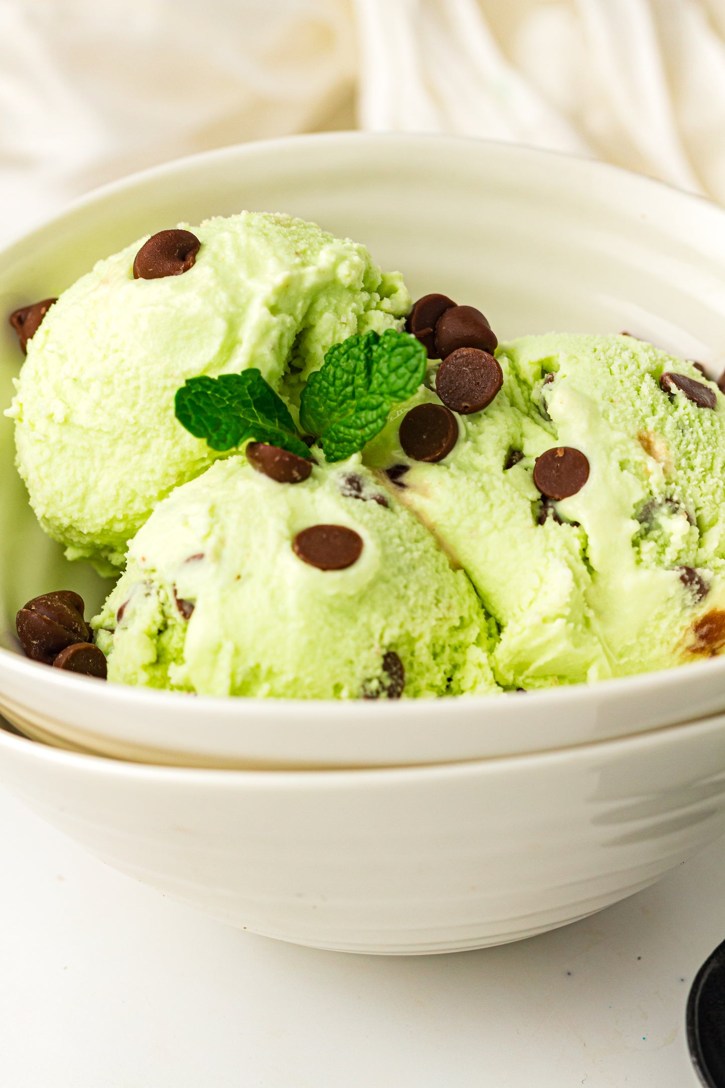 Mint Chocolate Chip – PLR Ninja Creami Ice Cream