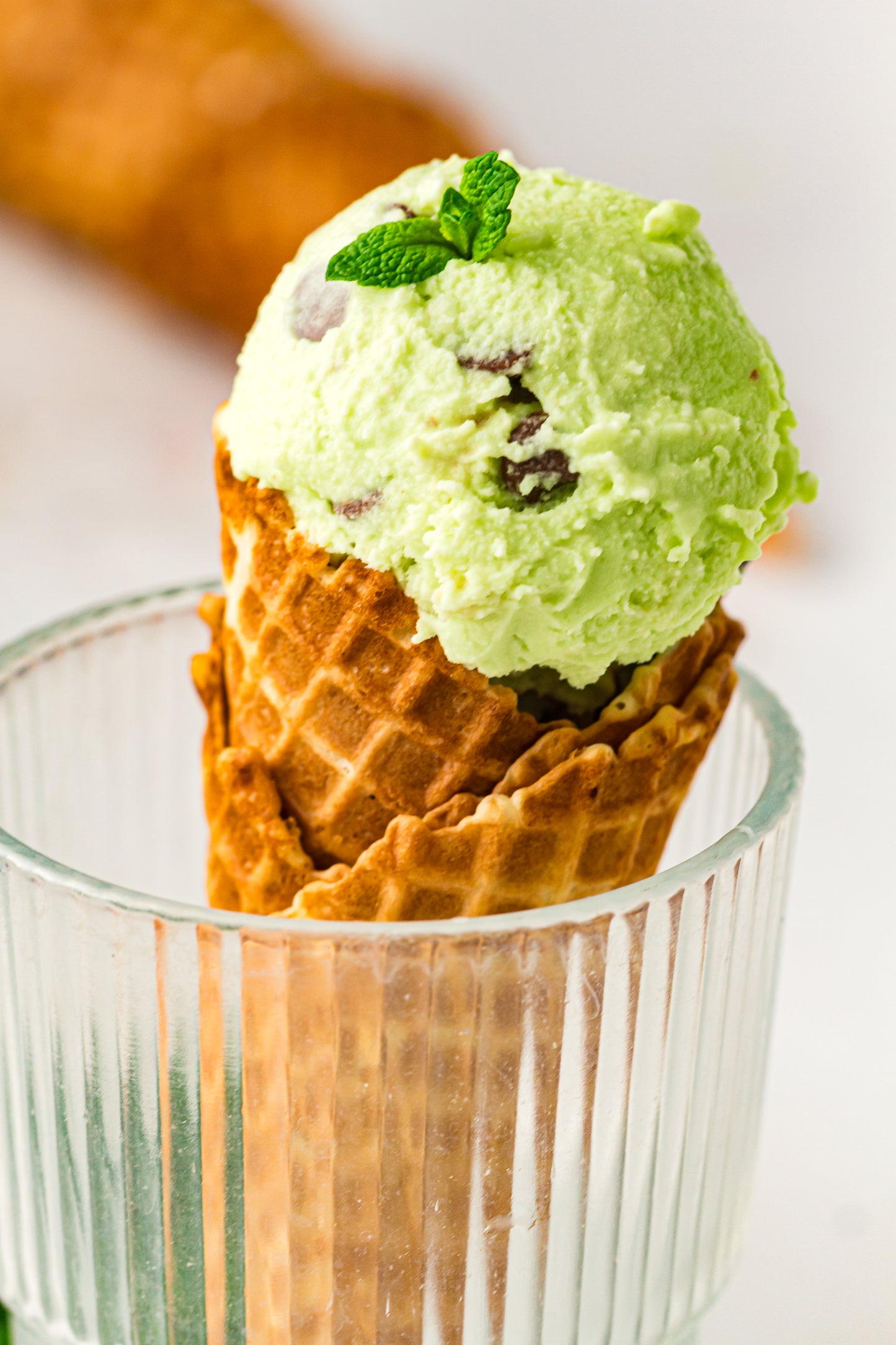 Mint Chocolate Chip – PLR Ninja Creami Ice Cream