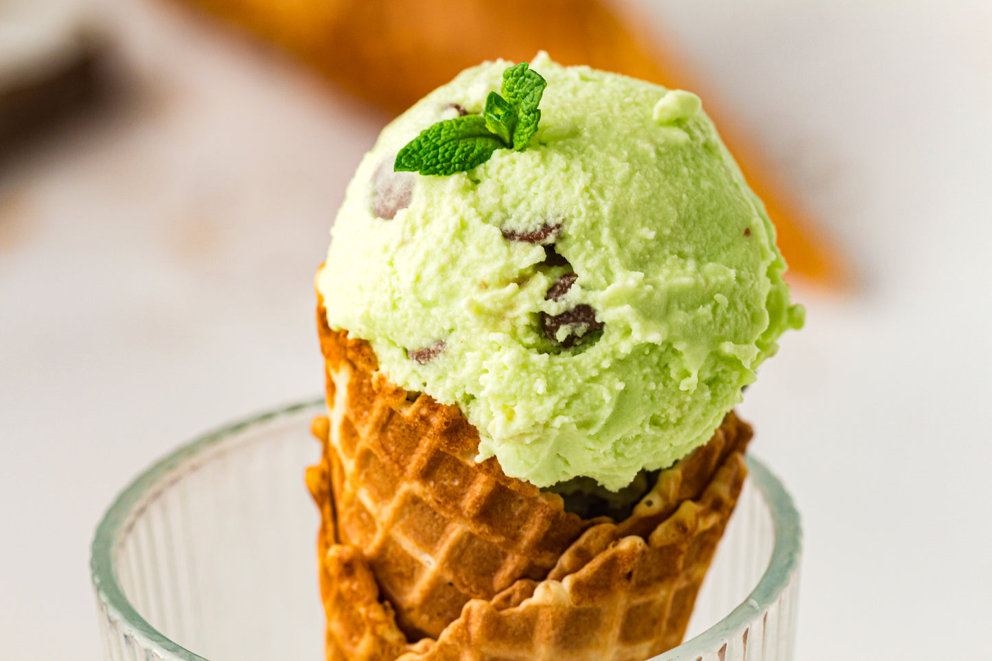 Mint Chocolate Chip – PLR Ninja Creami Ice Cream