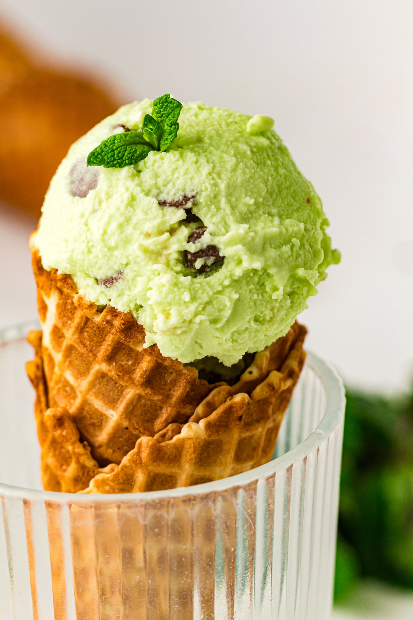 Mint Chocolate Chip – PLR Ninja Creami Ice Cream