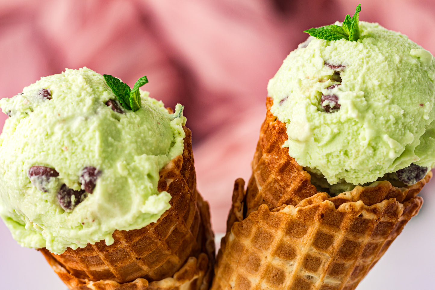 Mint Chocolate Chip – PLR Ninja Creami Ice Cream