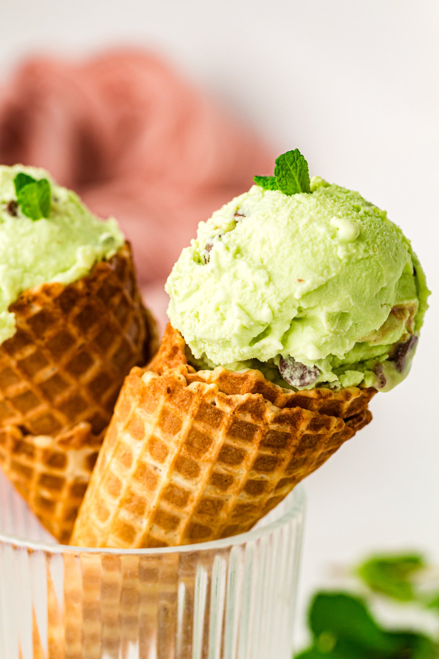 Mint Chocolate Chip – PLR Ninja Creami Ice Cream