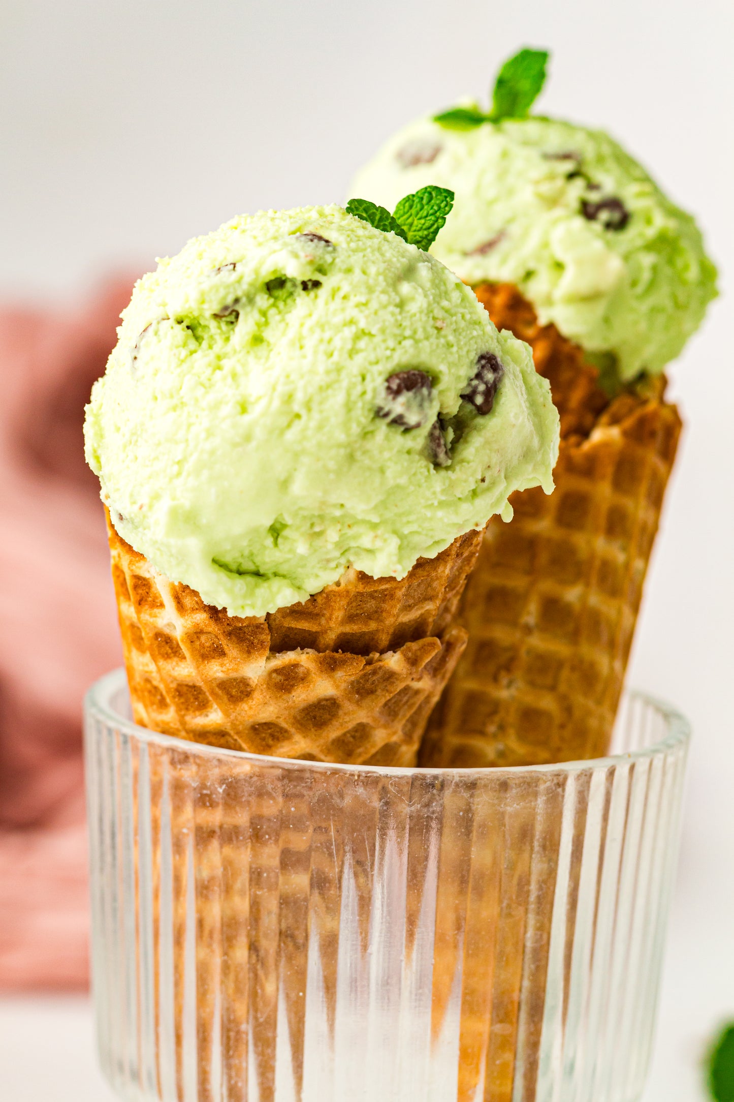 Mint Chocolate Chip – PLR Ninja Creami Ice Cream