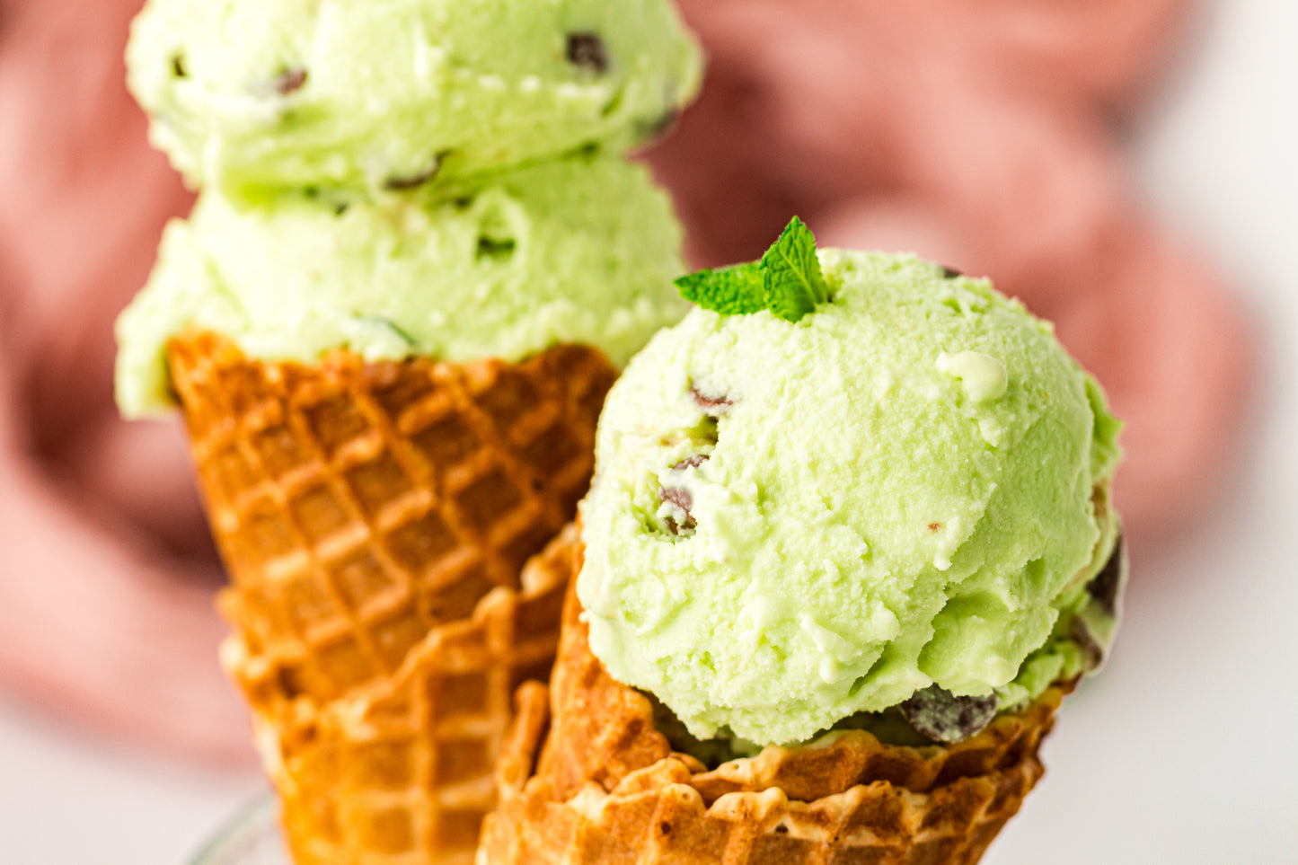 Mint Chocolate Chip – PLR Ninja Creami Ice Cream
