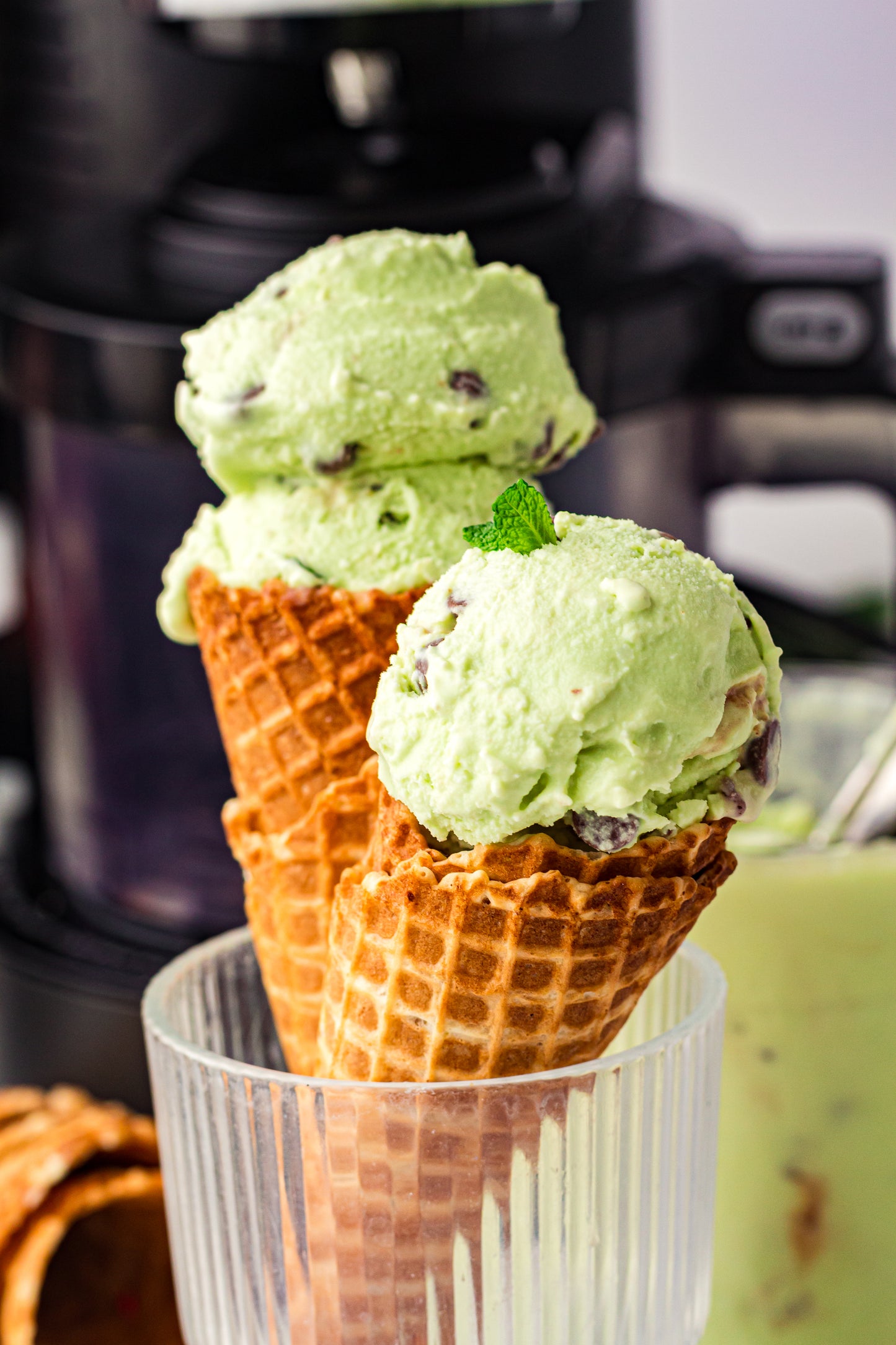 Mint Chocolate Chip – PLR Ninja Creami Ice Cream