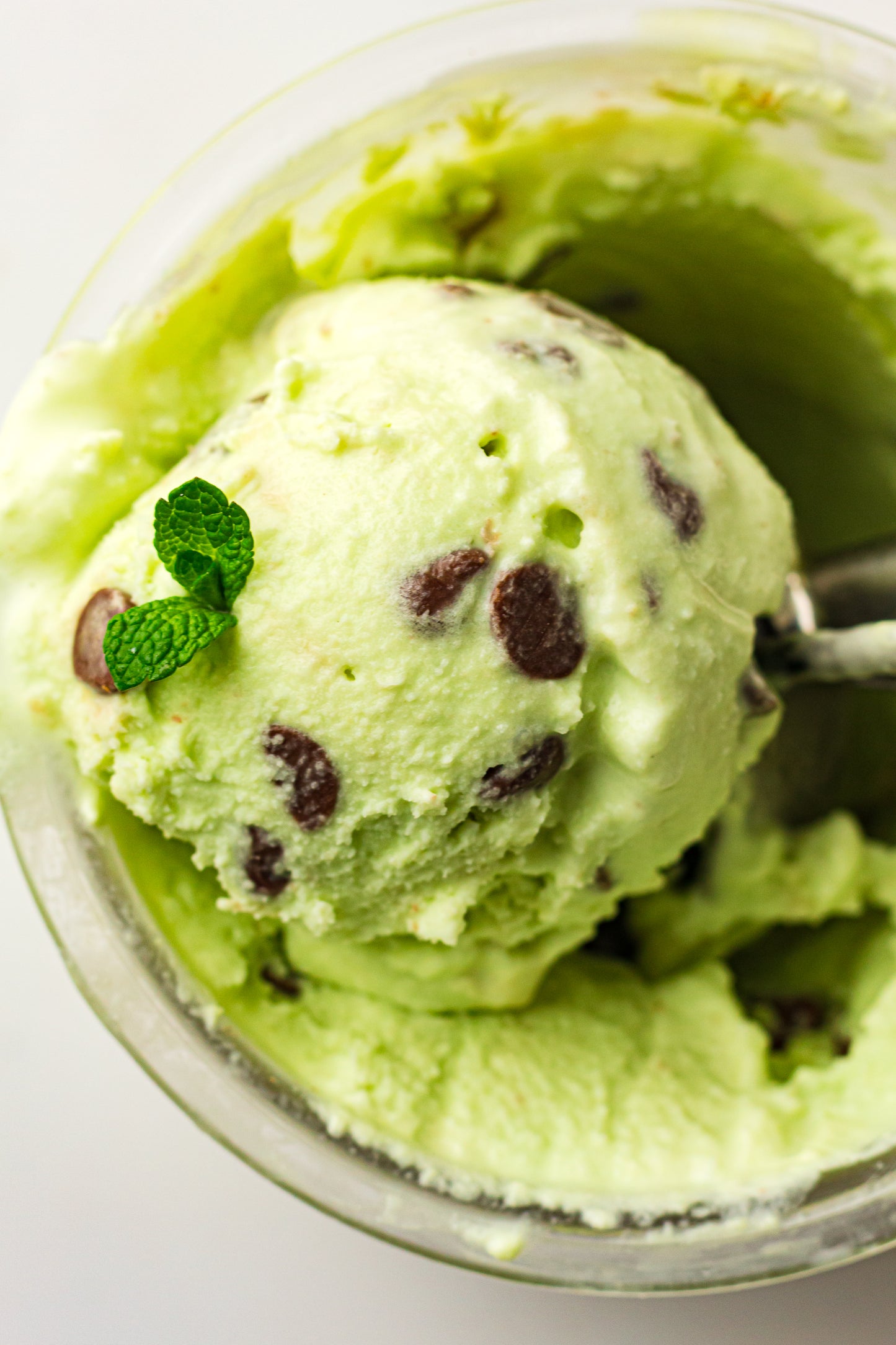 Mint Chocolate Chip – PLR Ninja Creami Ice Cream