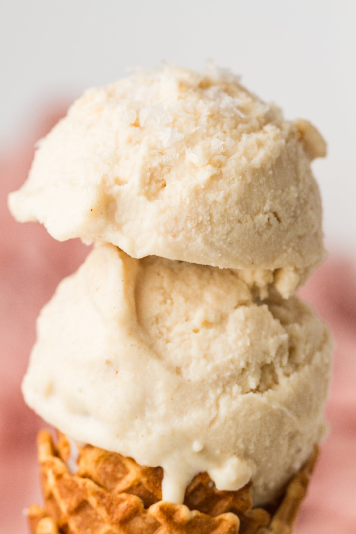 PLR High-Protein Vanilla Ice Cream – Ninja Creami