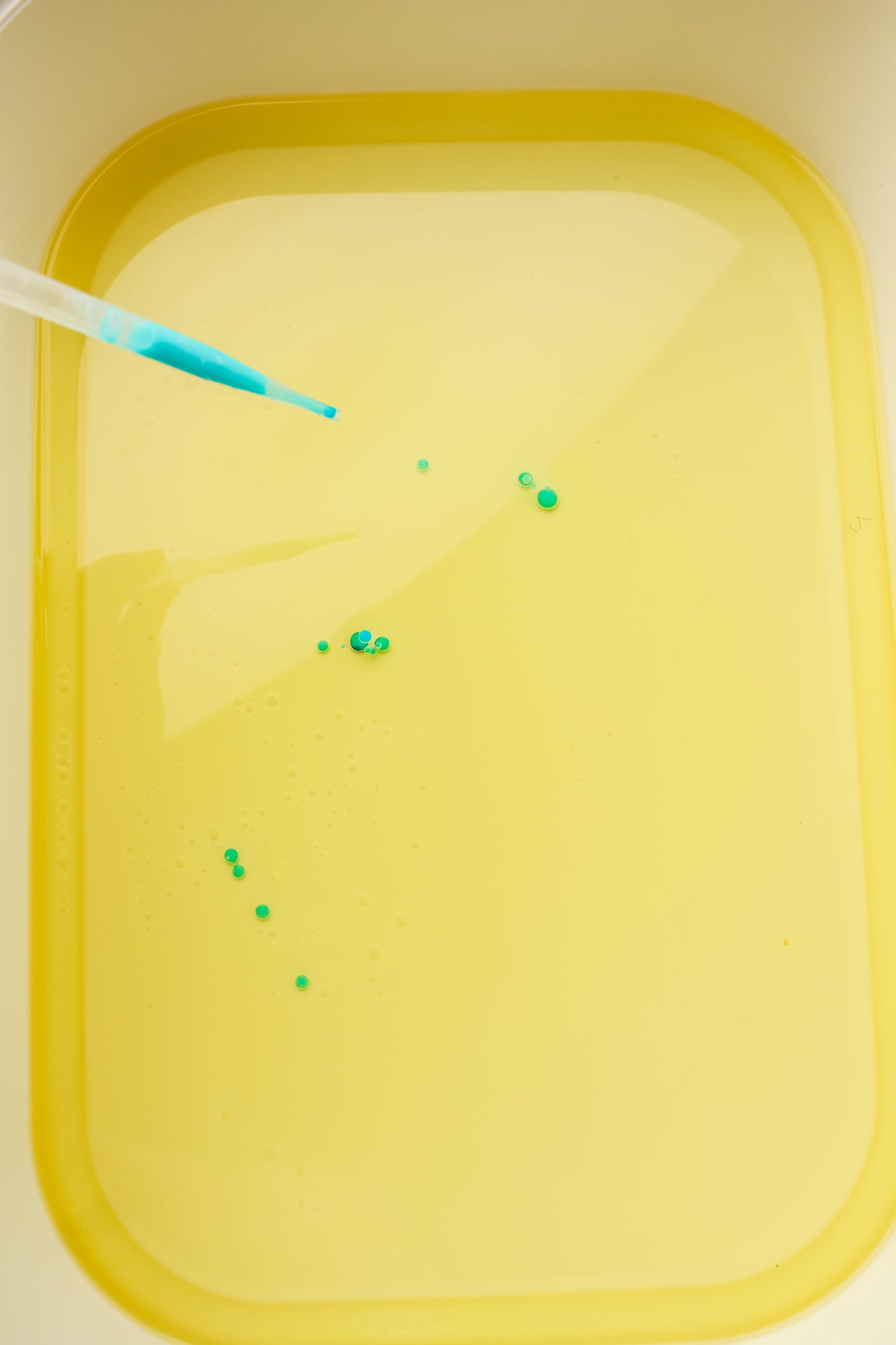 Lava Lamp Sensory Box
