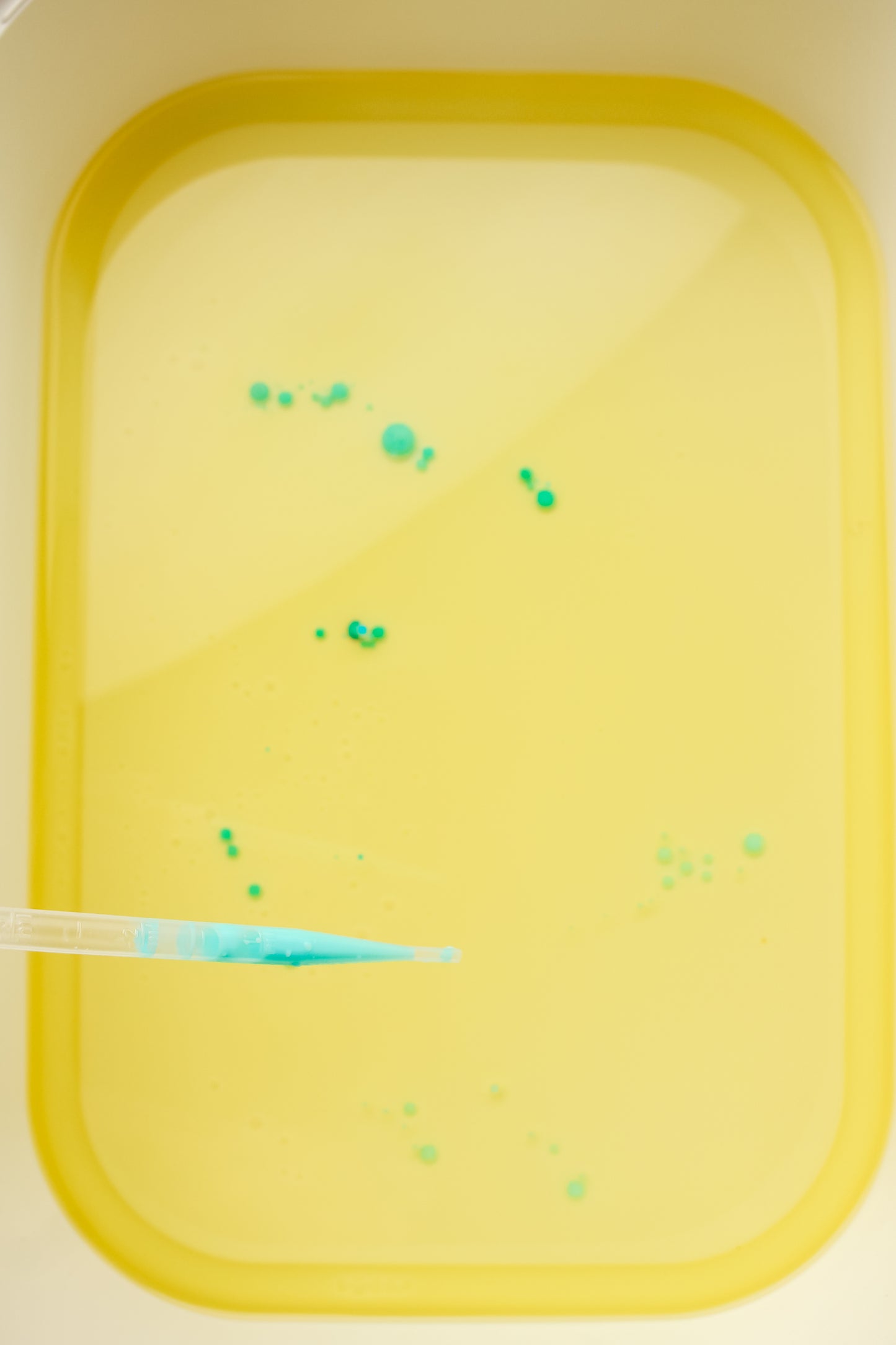 Lava Lamp Sensory Box