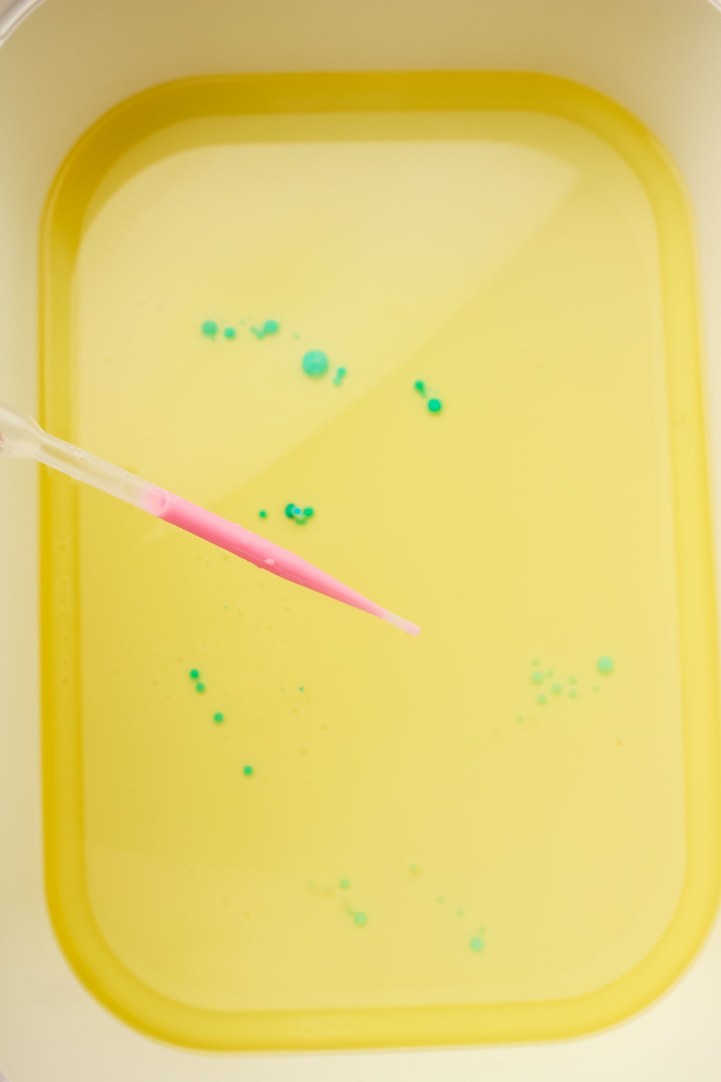 Lava Lamp Sensory Box