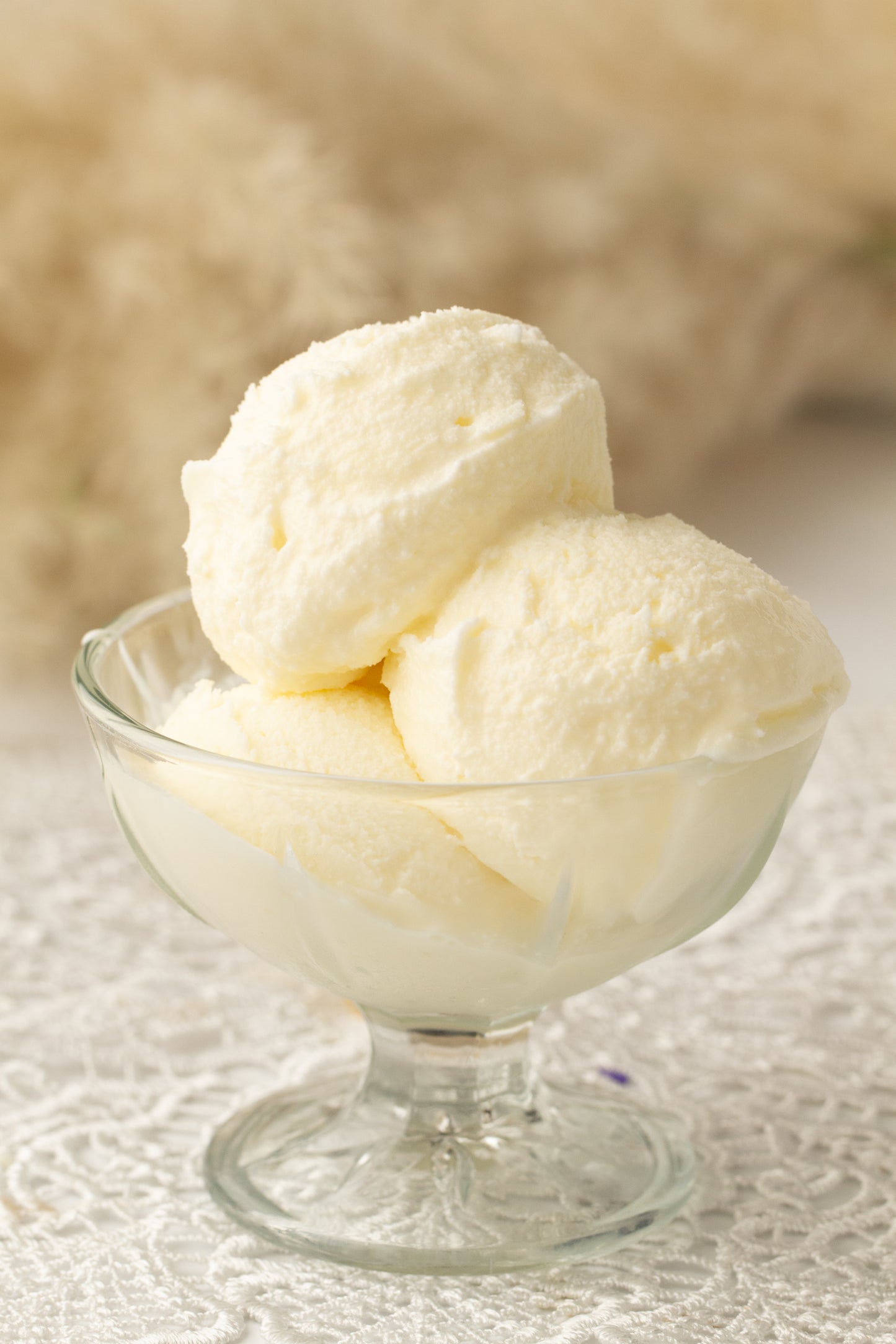 PLR Vanilla Ninja Creami Ice Cream