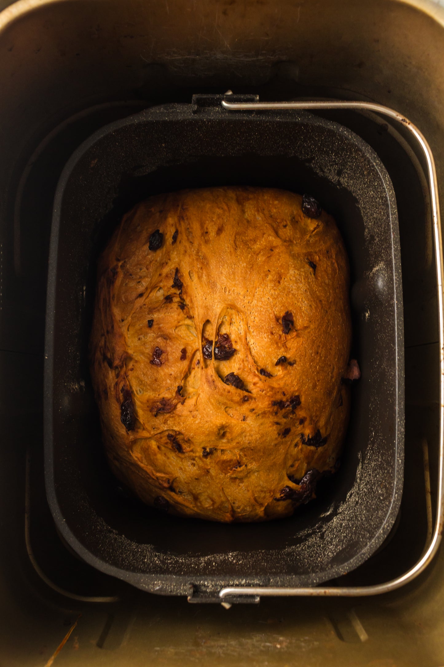 Breadmaker Cinnamon Raisin Bread (PLR)