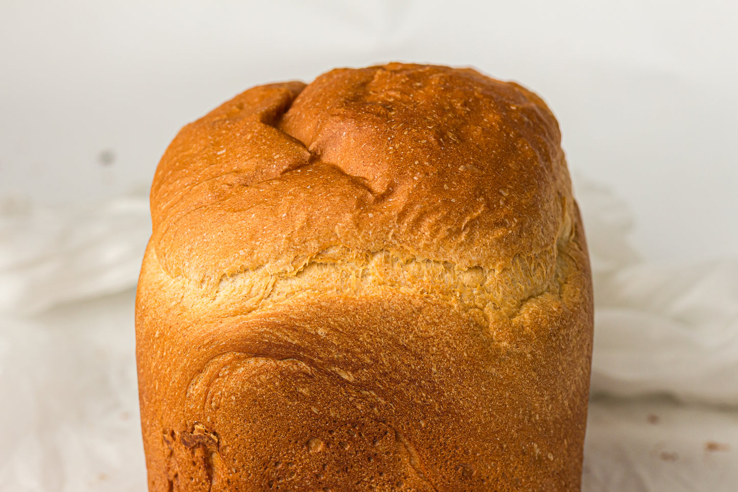 Breadmaker White Sandwich Bread (PLR)