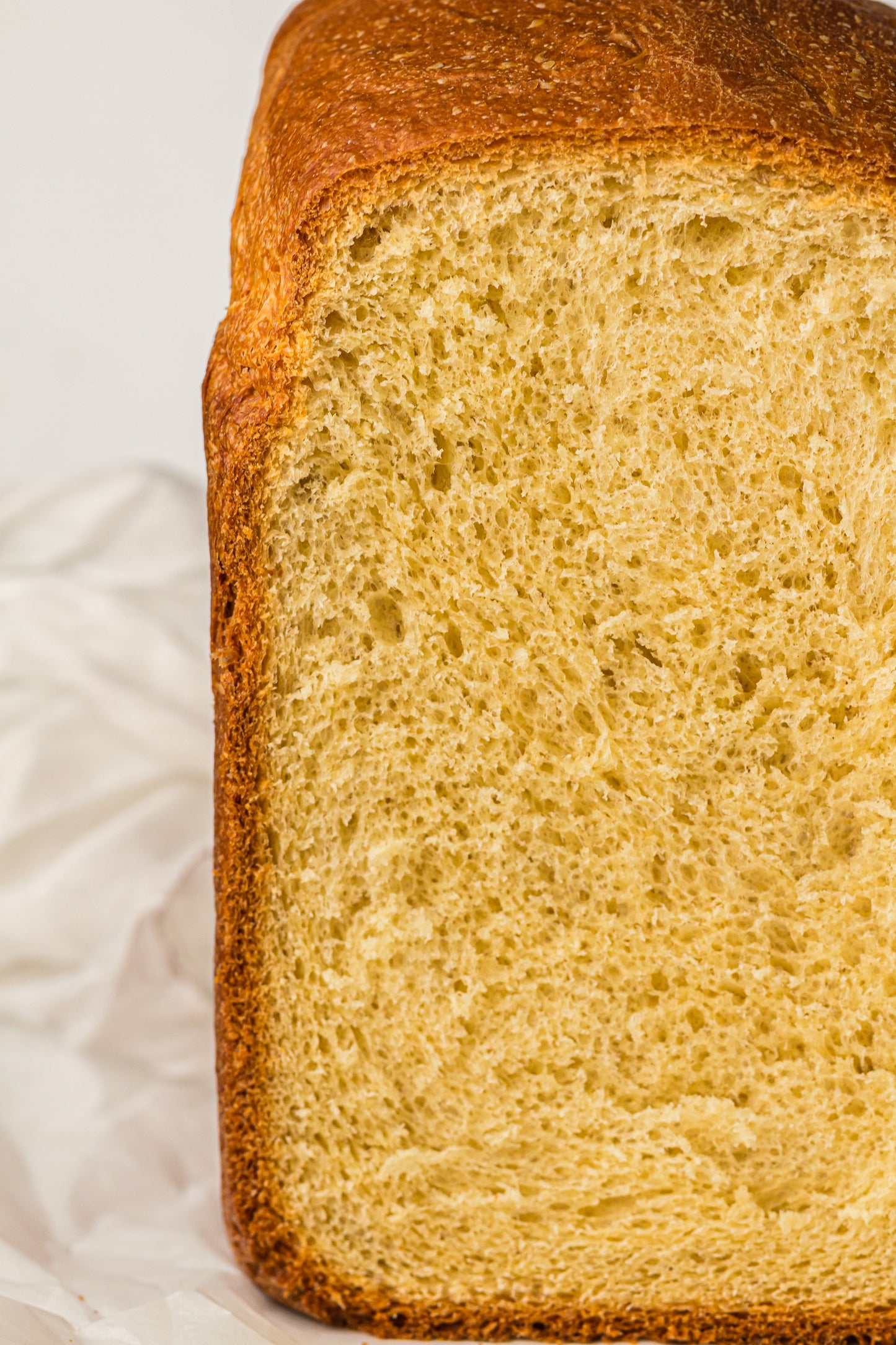 Breadmaker Brioche (PLR)