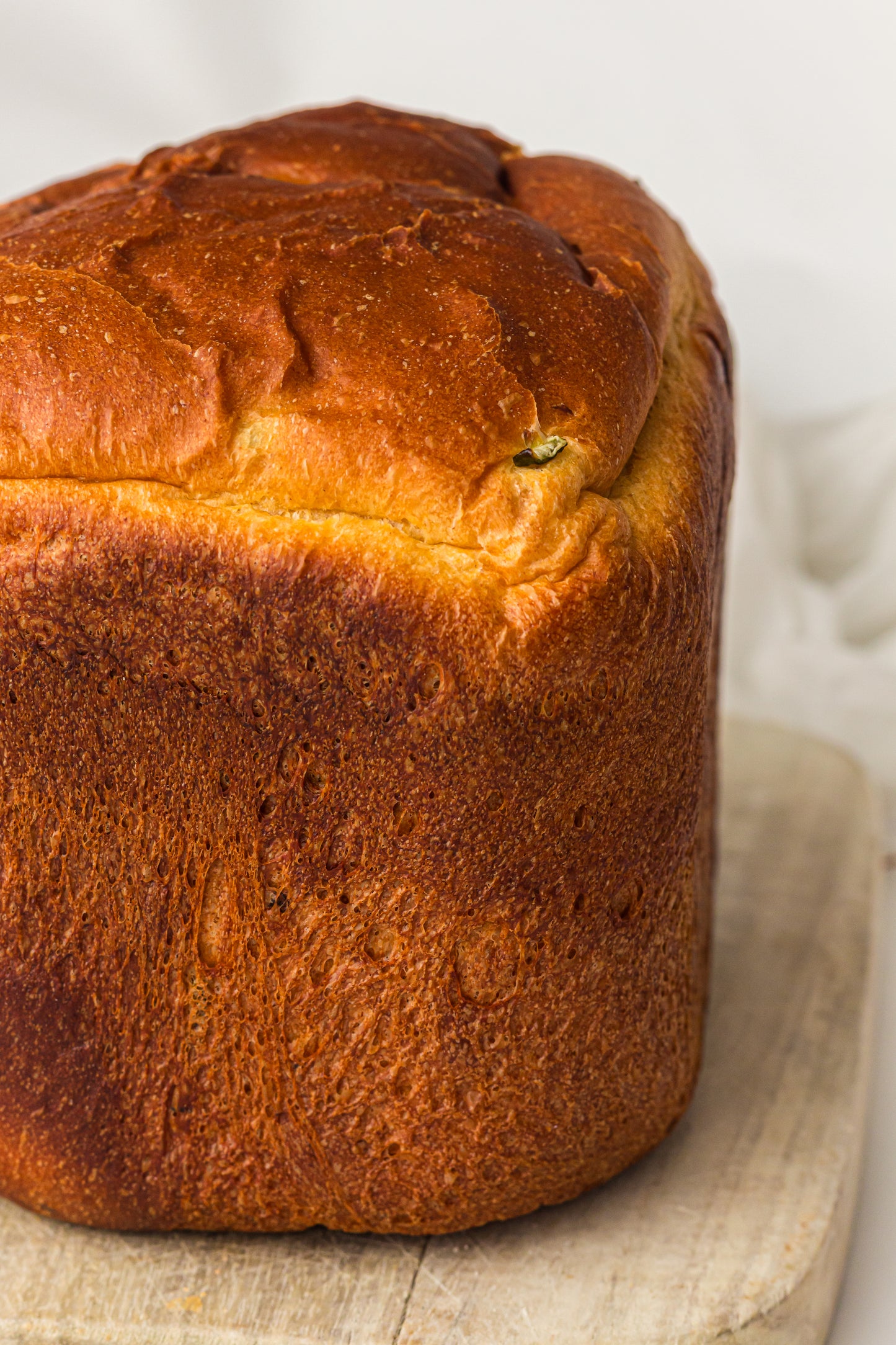 Breadmaker Jalapeño Cheddar Bread (PLR)