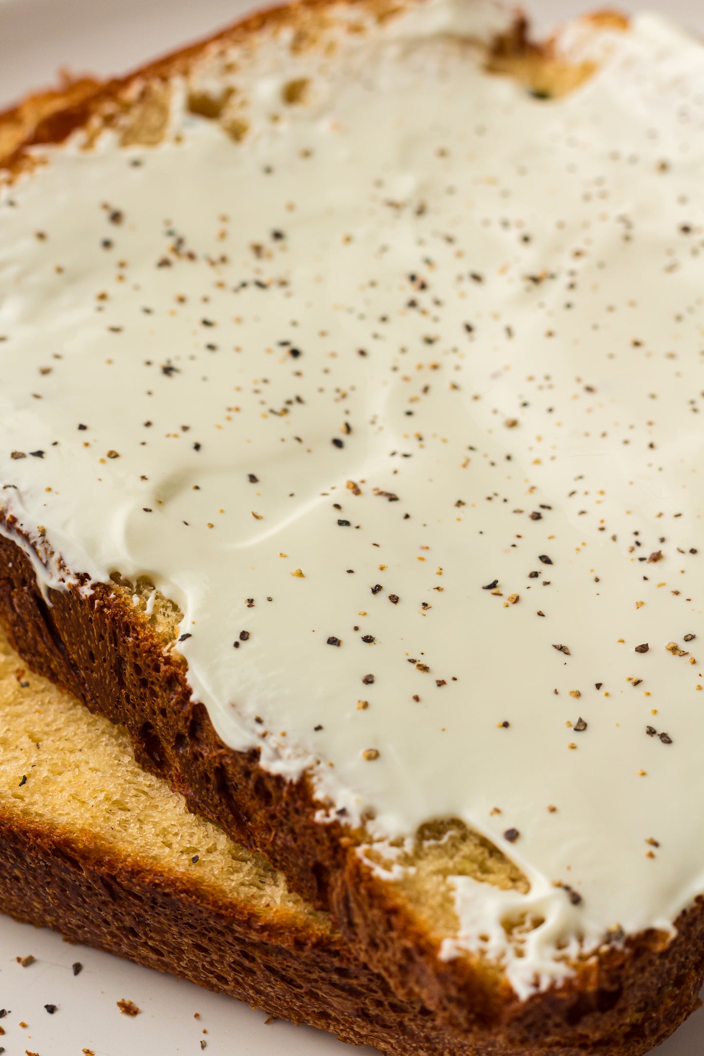 Breadmaker Jalapeño Cheddar Bread (PLR)