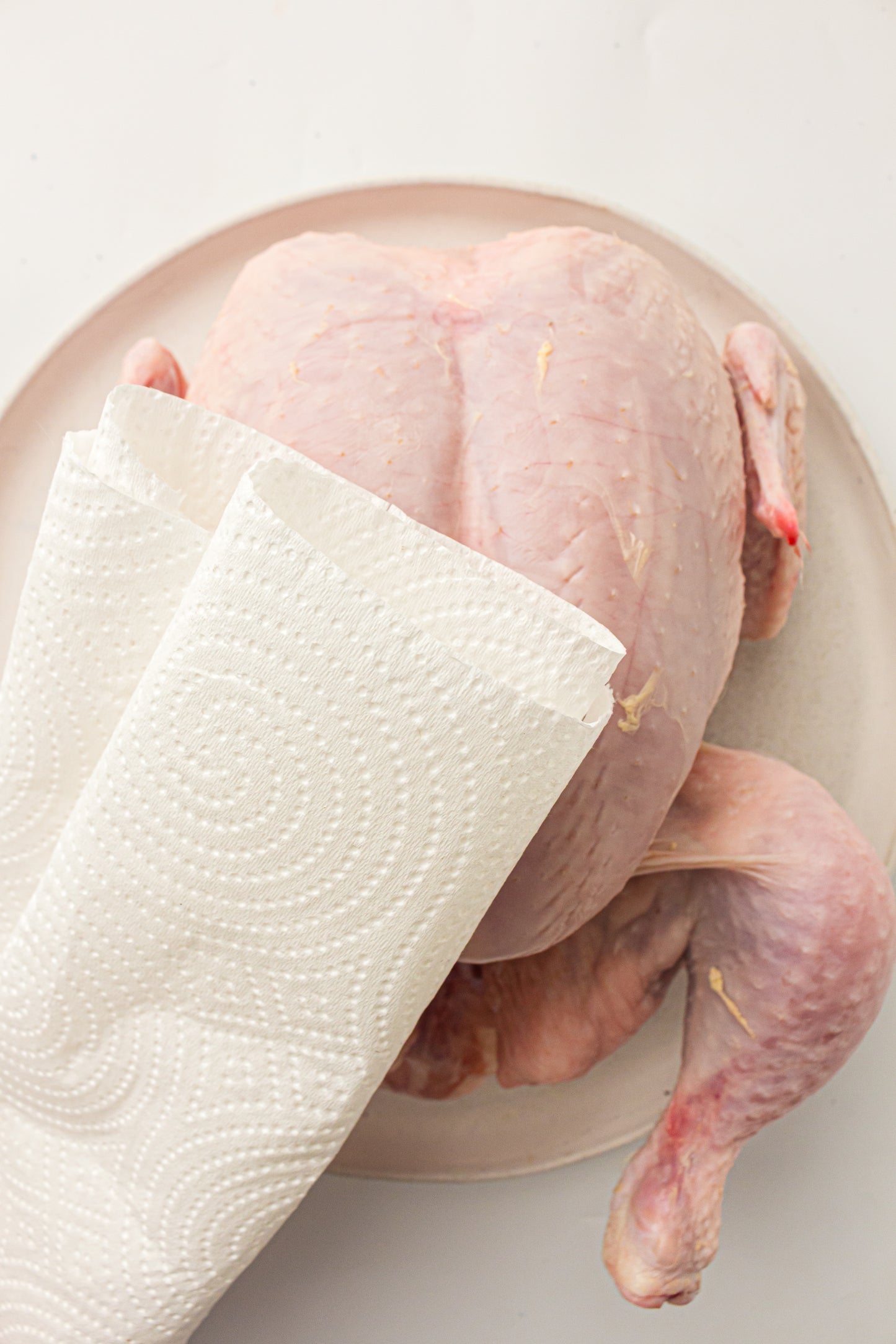 Ninja Woodfire Whole Chicken