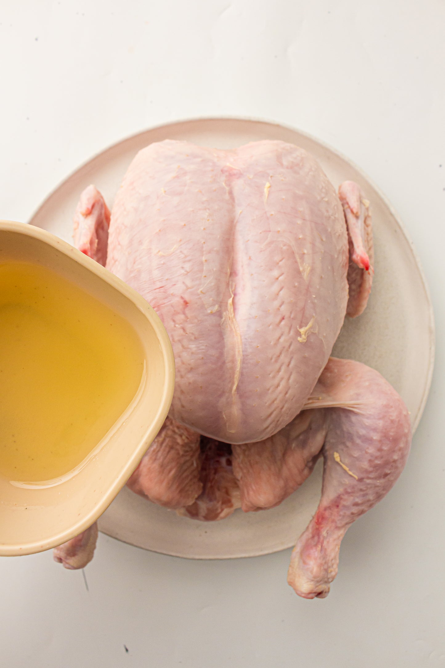 Ninja Woodfire Whole Chicken