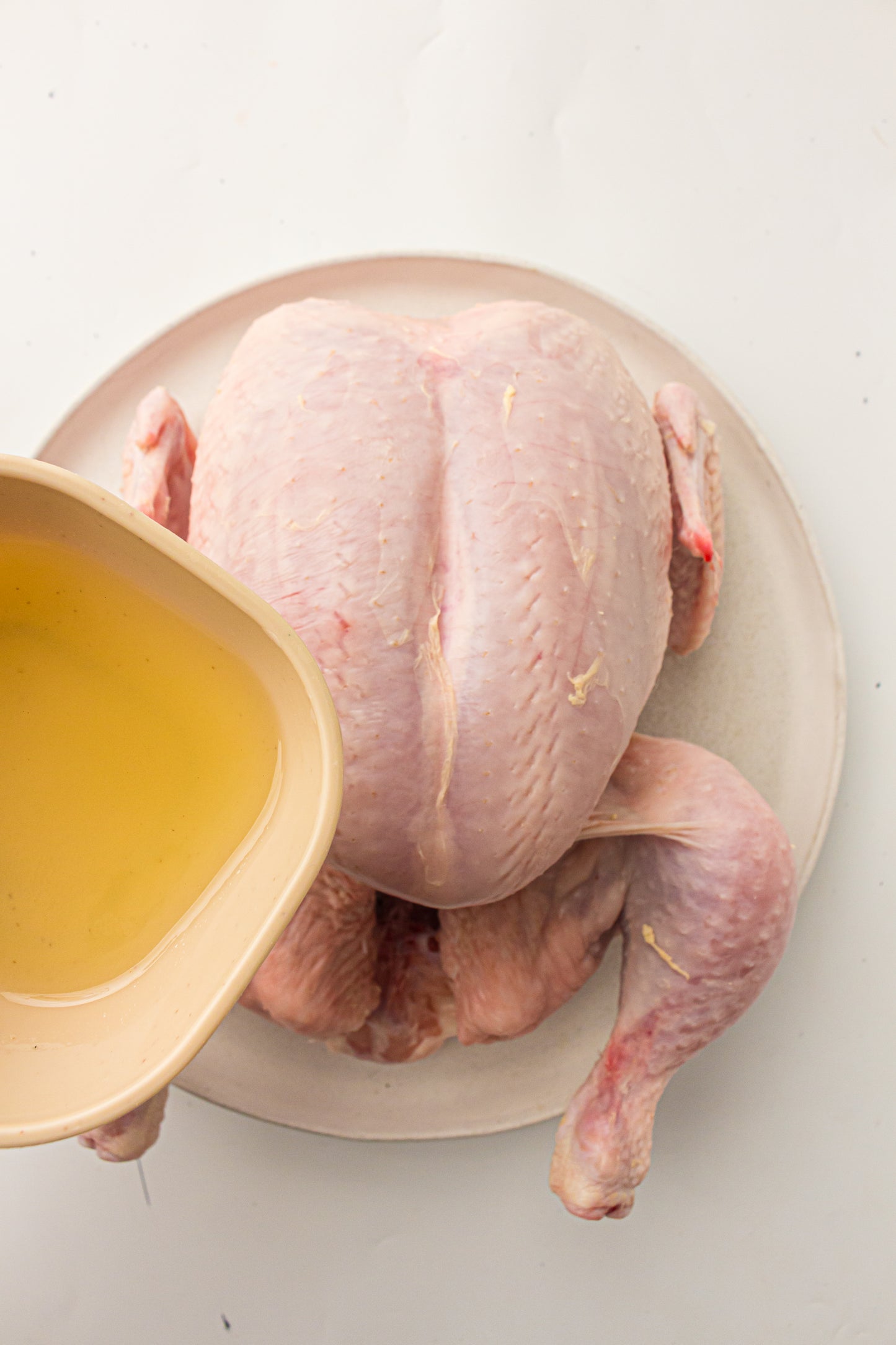 Ninja Woodfire Whole Chicken