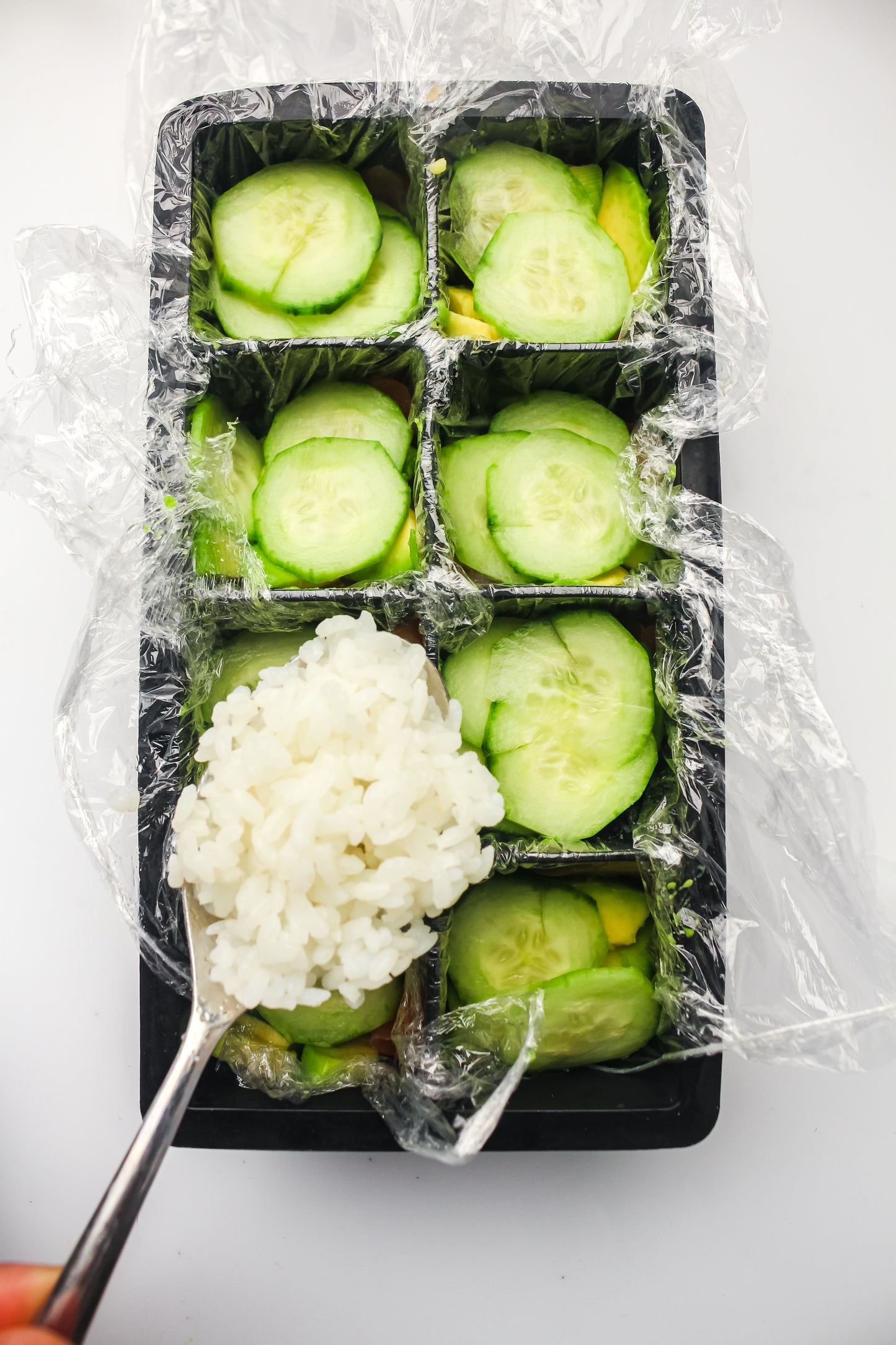 Ice Cube Tray Sushi PLR