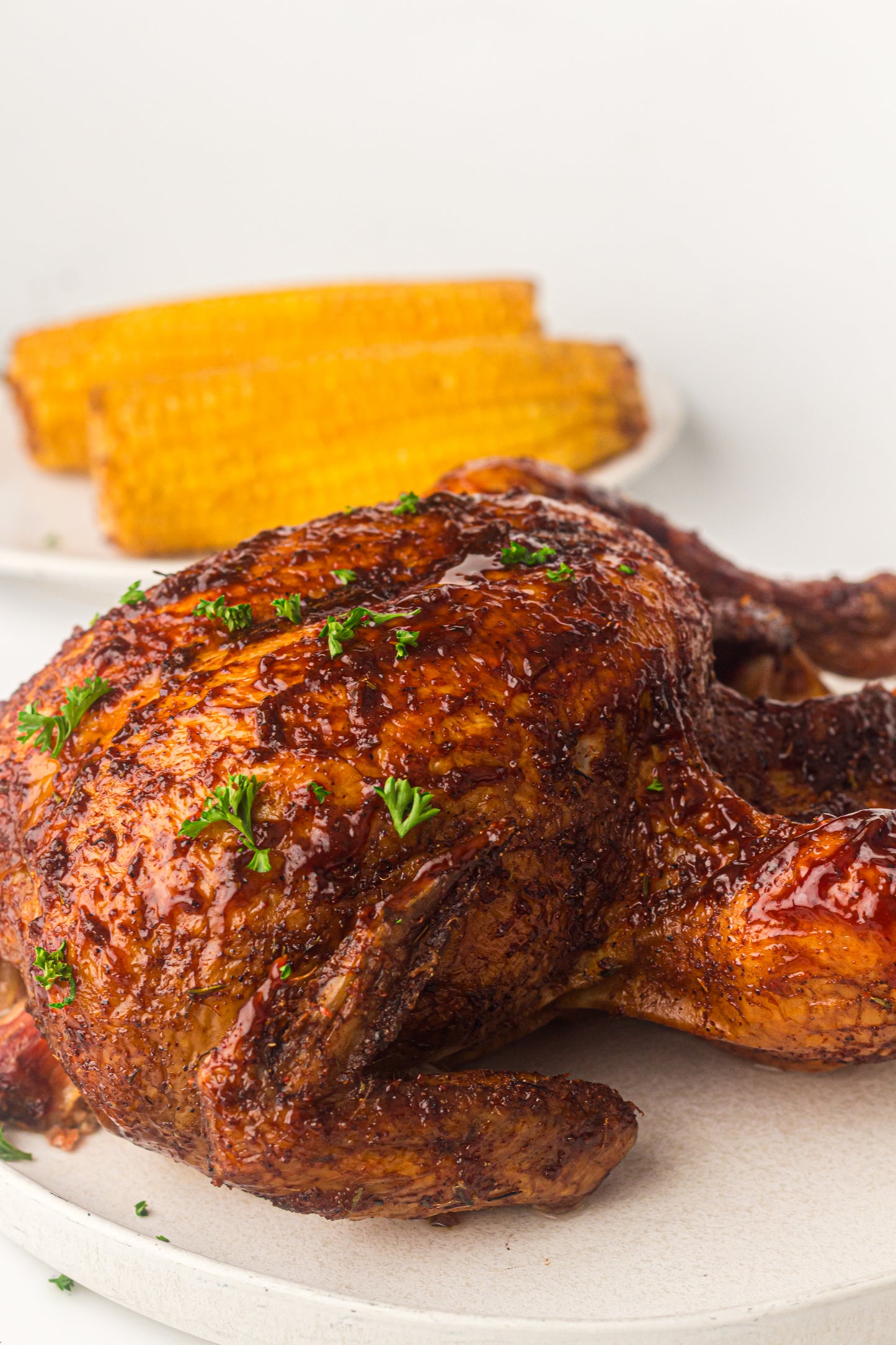 Ninja Woodfire Whole Chicken