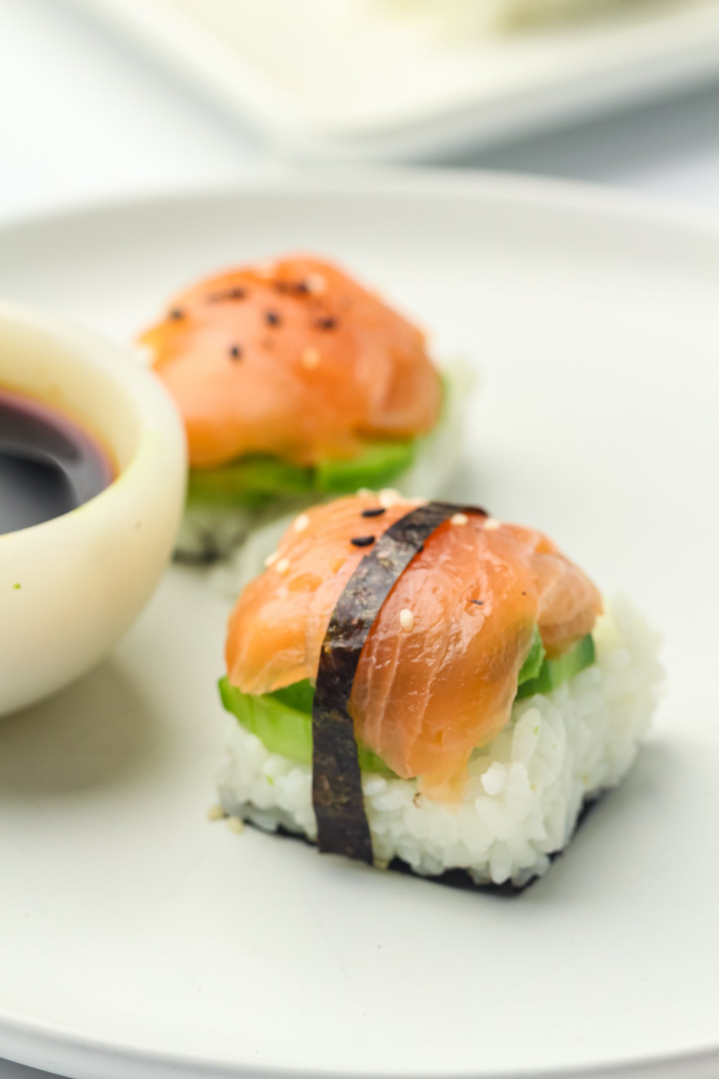 Ice Cube Tray Sushi PLR