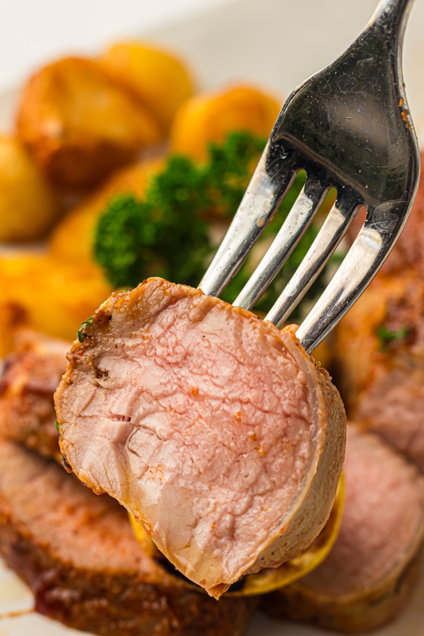 Ninja Woodfire Pork Tenderloin