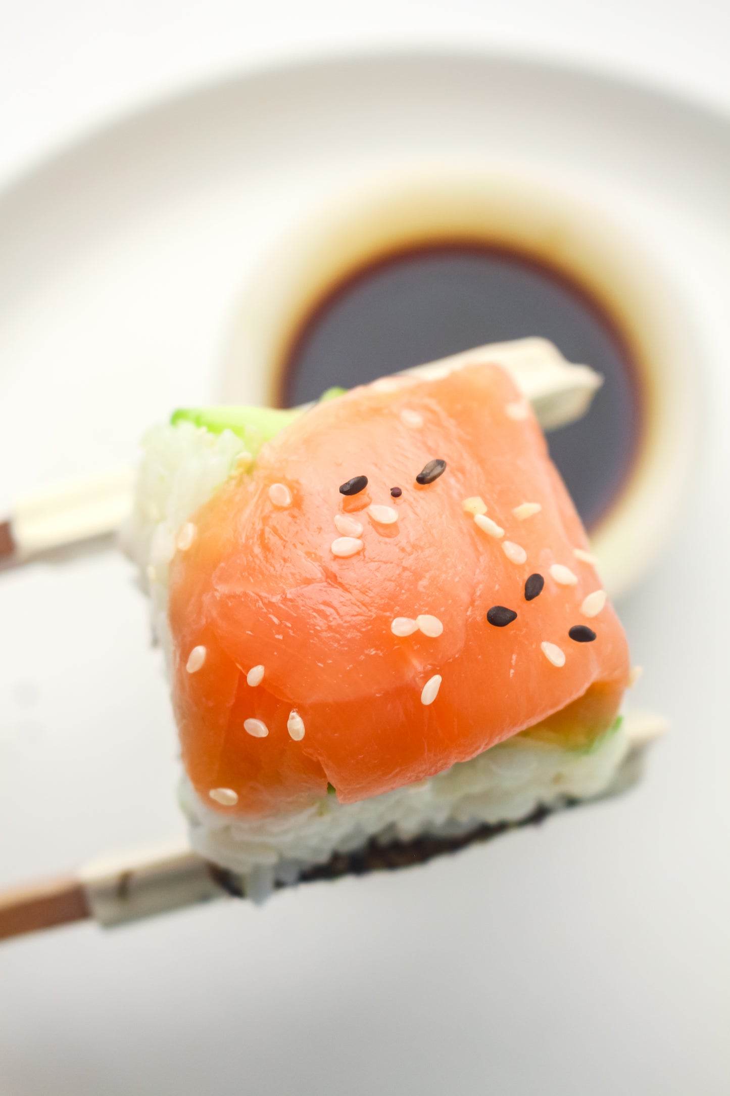 Ice Cube Tray Sushi PLR