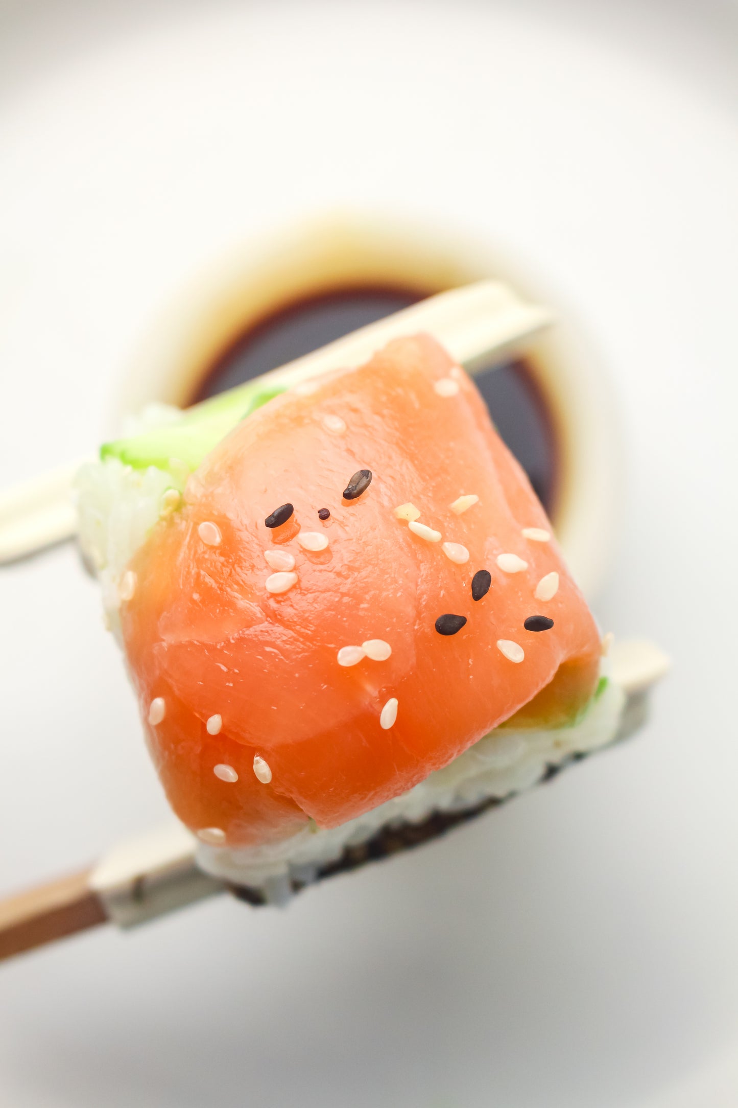 Ice Cube Tray Sushi PLR