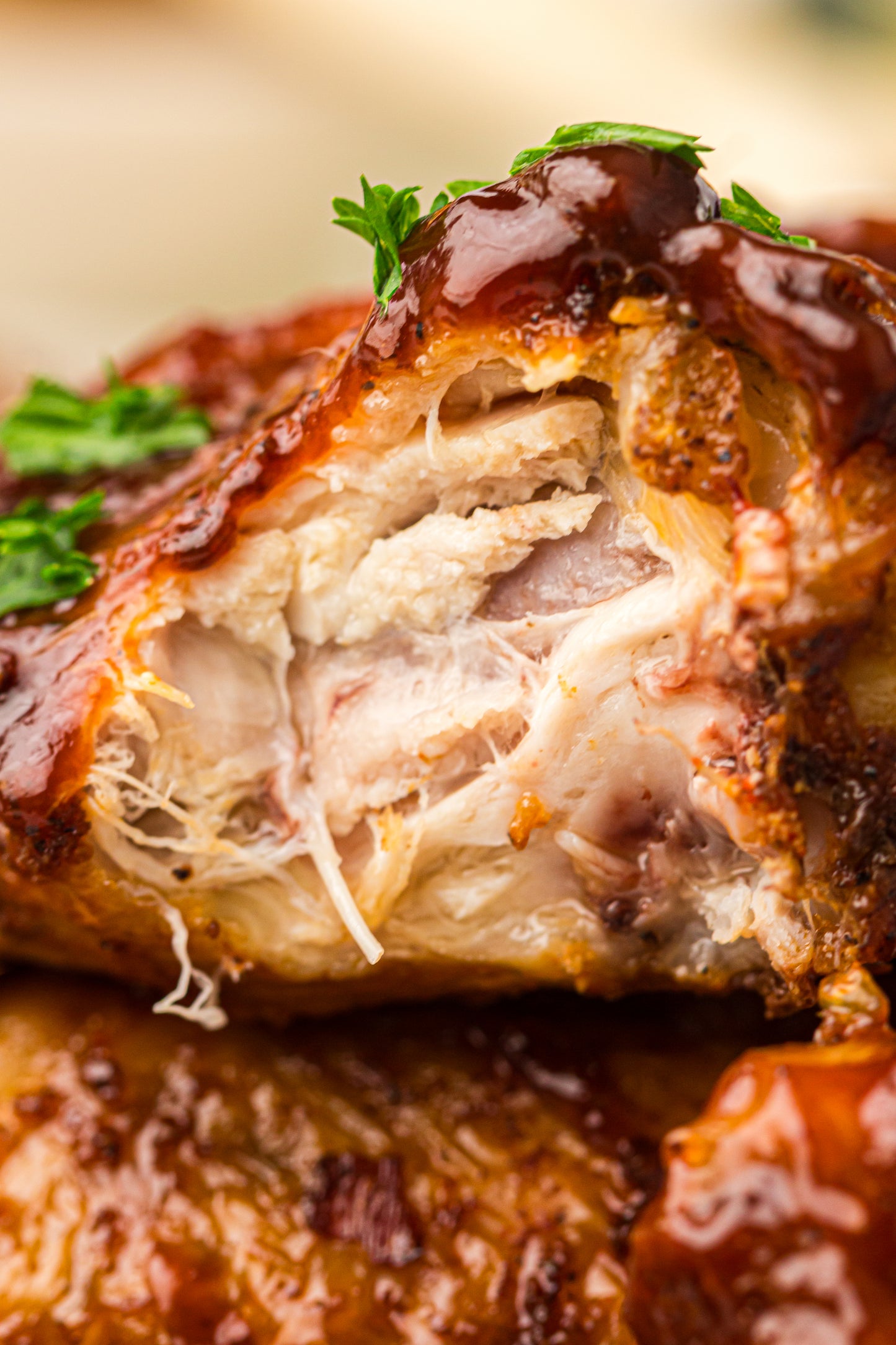 Ninja Woodfire Chicken Wings