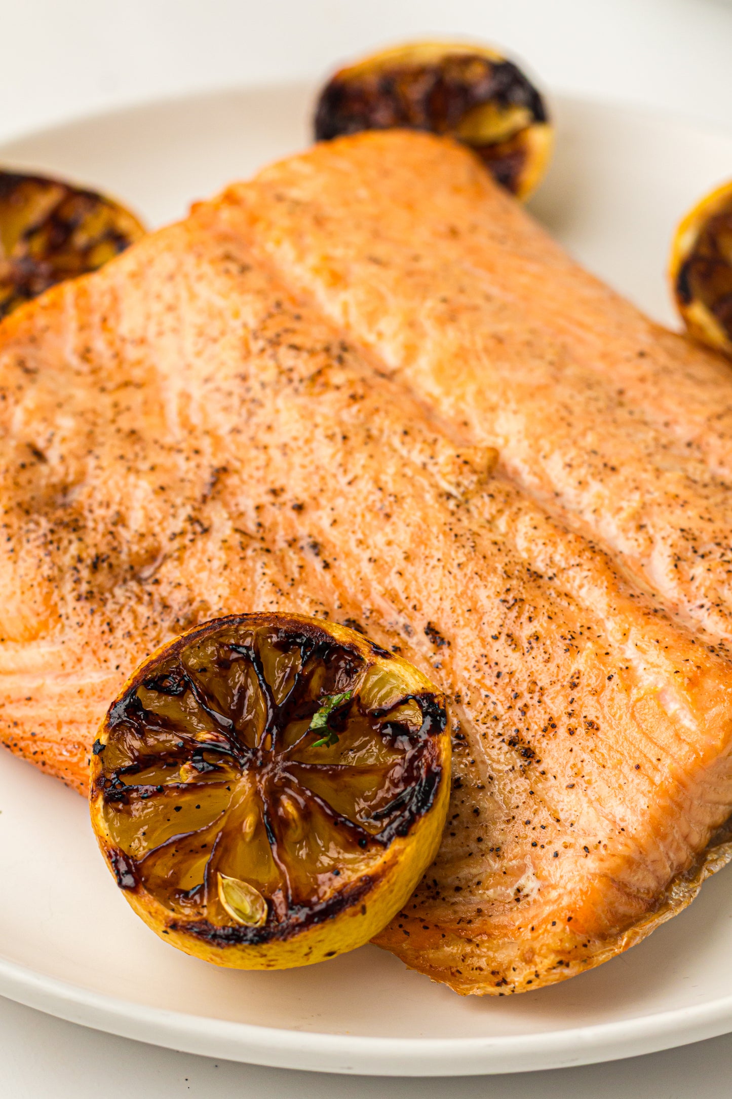 Ninja Woodfire Salmon