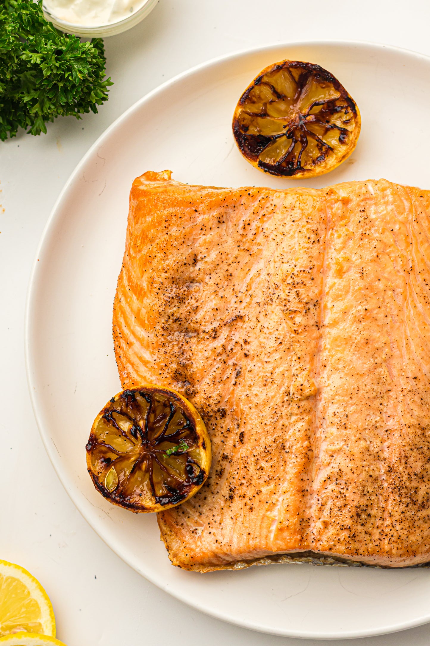 Ninja Woodfire Salmon