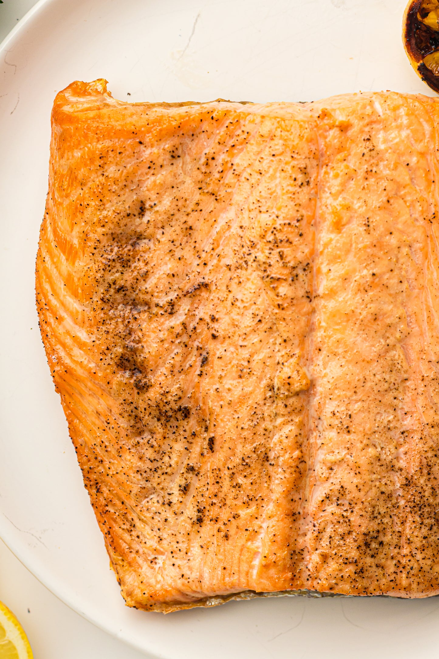 Ninja Woodfire Salmon