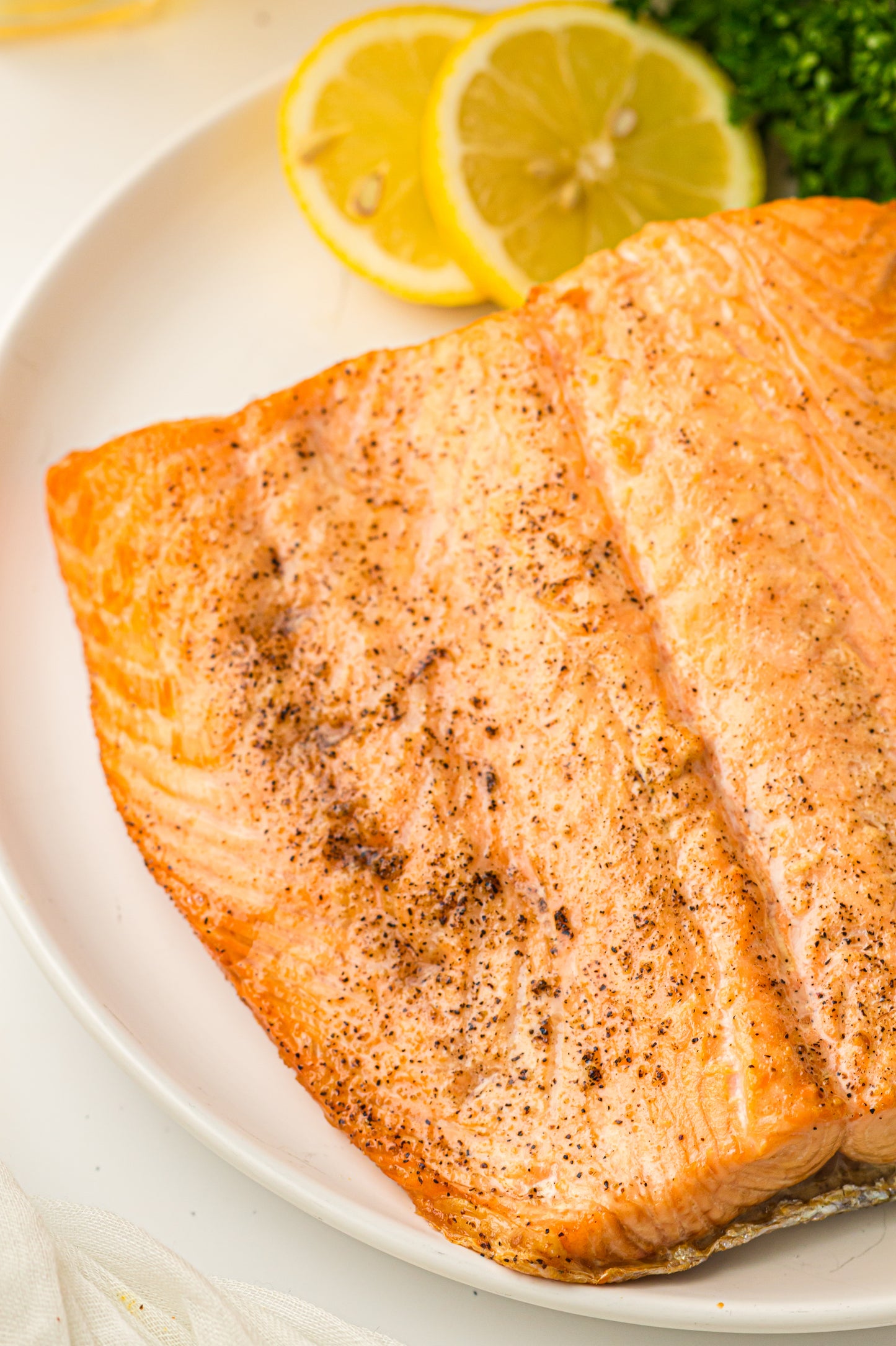 Ninja Woodfire Salmon